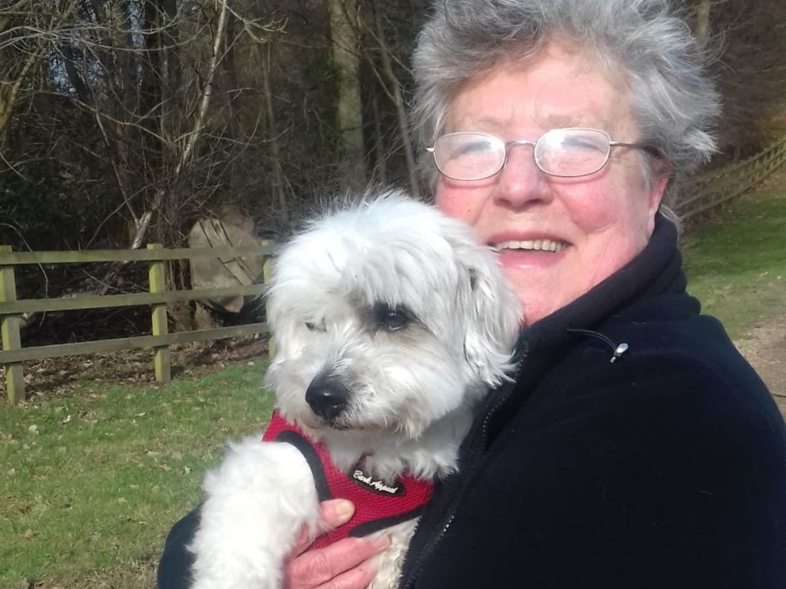 Patricia from Addlestone, United Kingdom