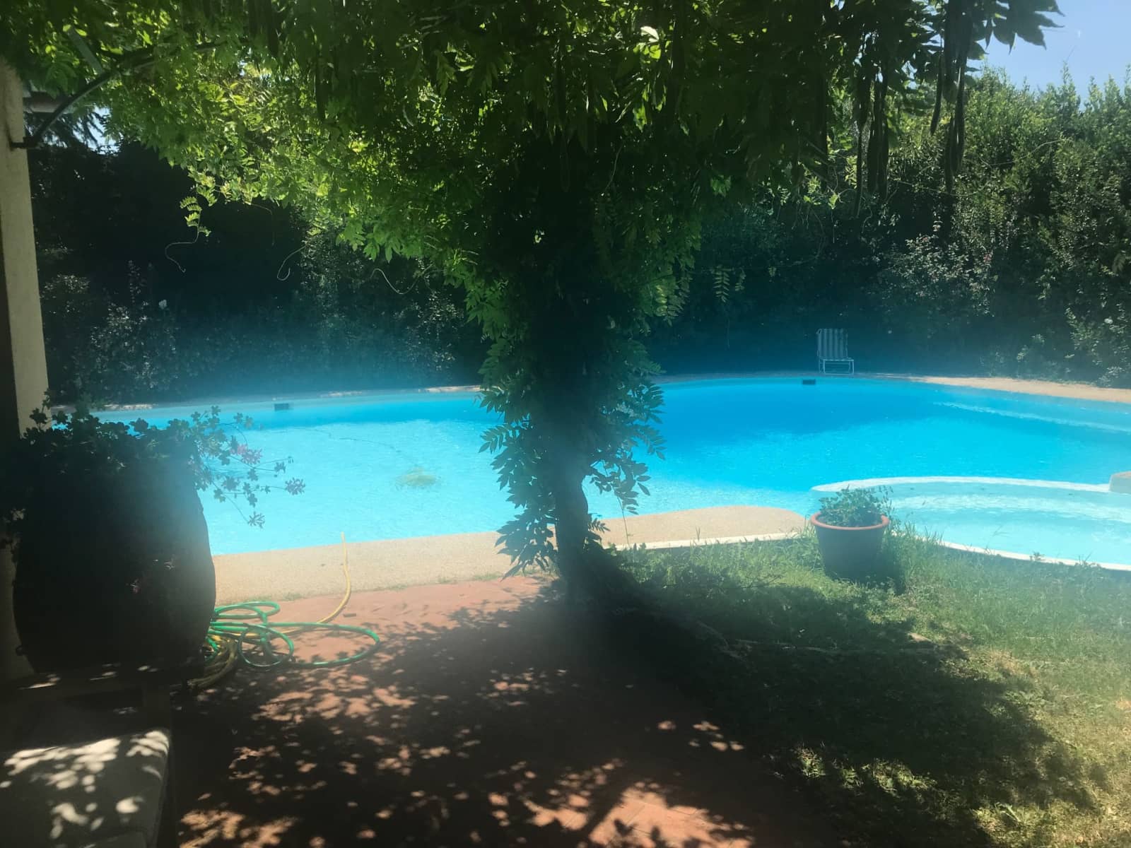 Housesitting assignment in Florence, Italy