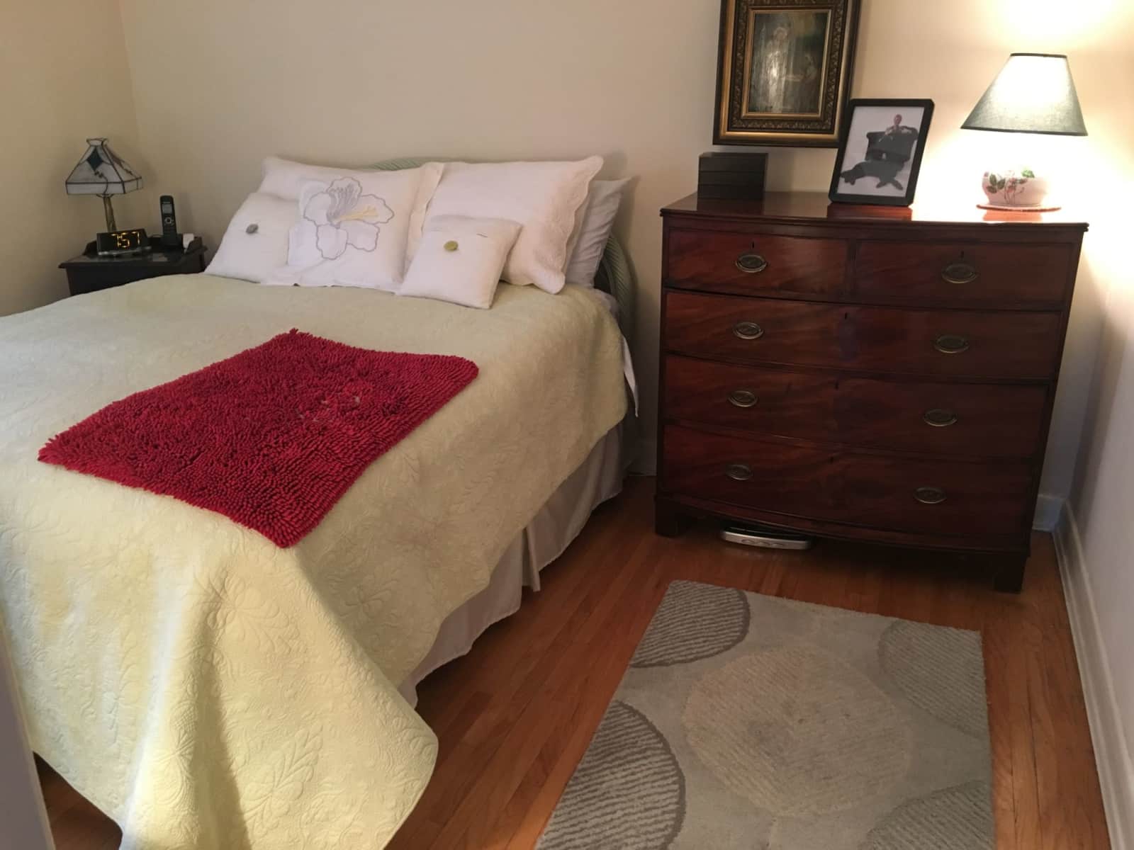 Housesitting assignment in Toronto, Ontario, Canada