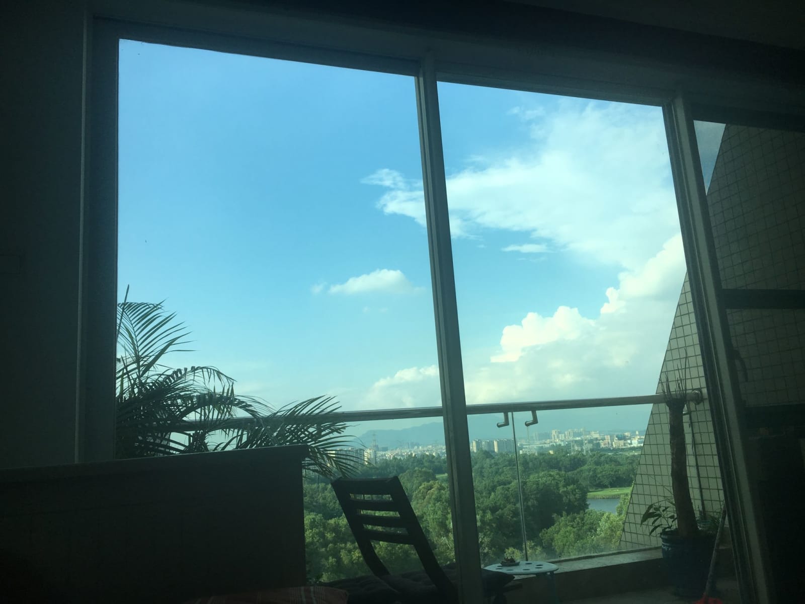 Housesitting assignment in Shenzhen, China
