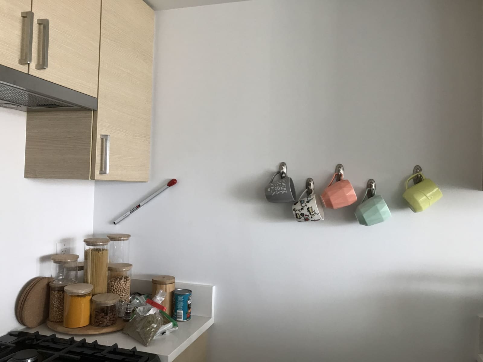 Housesitting assignment in Vancouver, British Columbia, Canada