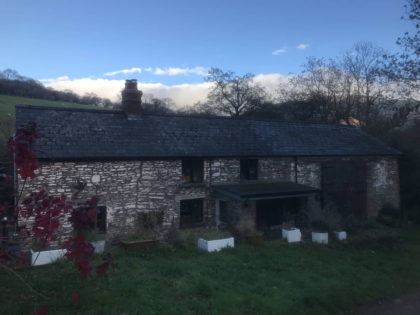 Housesitting assignment in Talgarth, United Kingdom