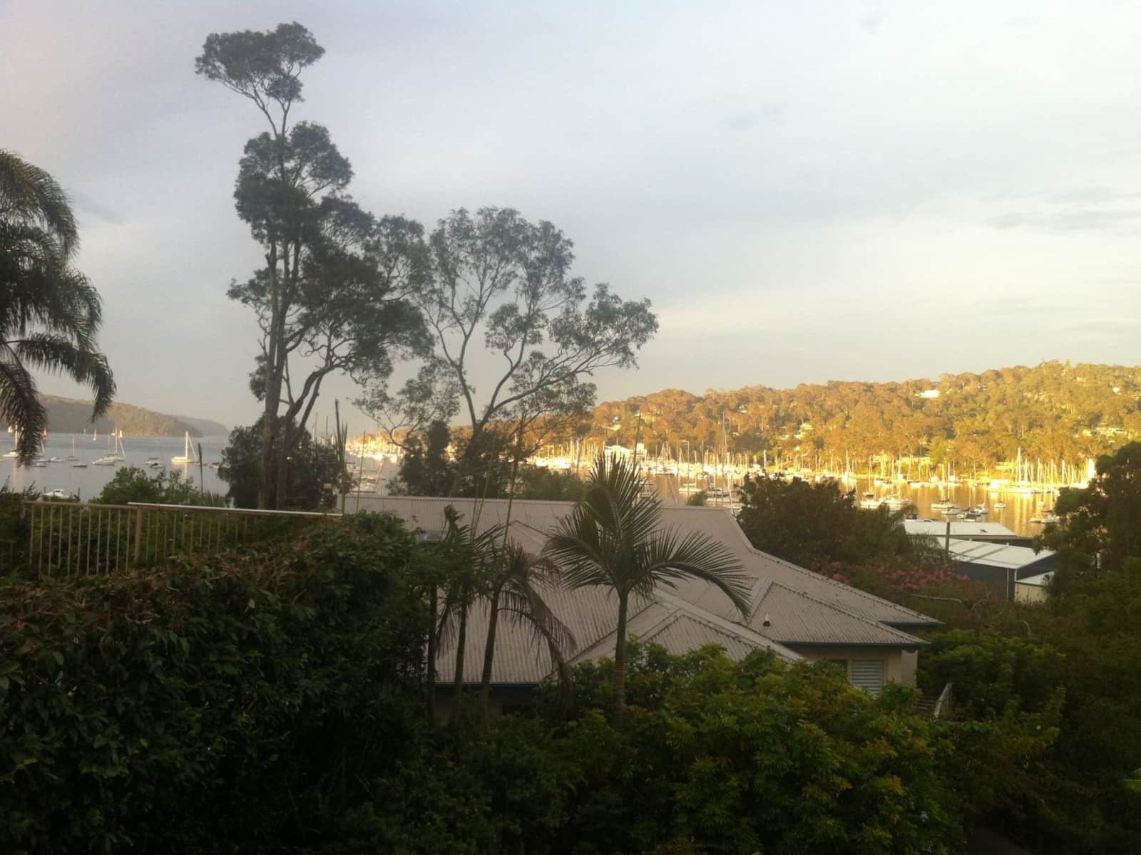 Housesitting assignment in Bay View, New South Wales, Australia