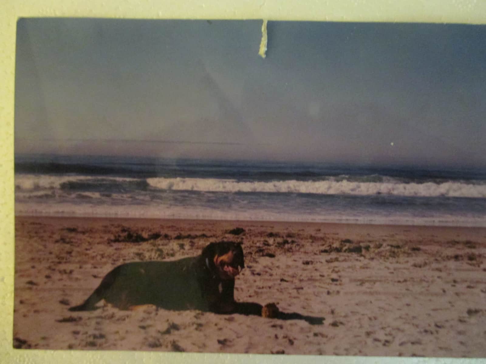 Sheldon & Breta from Borrego Springs, California, United States