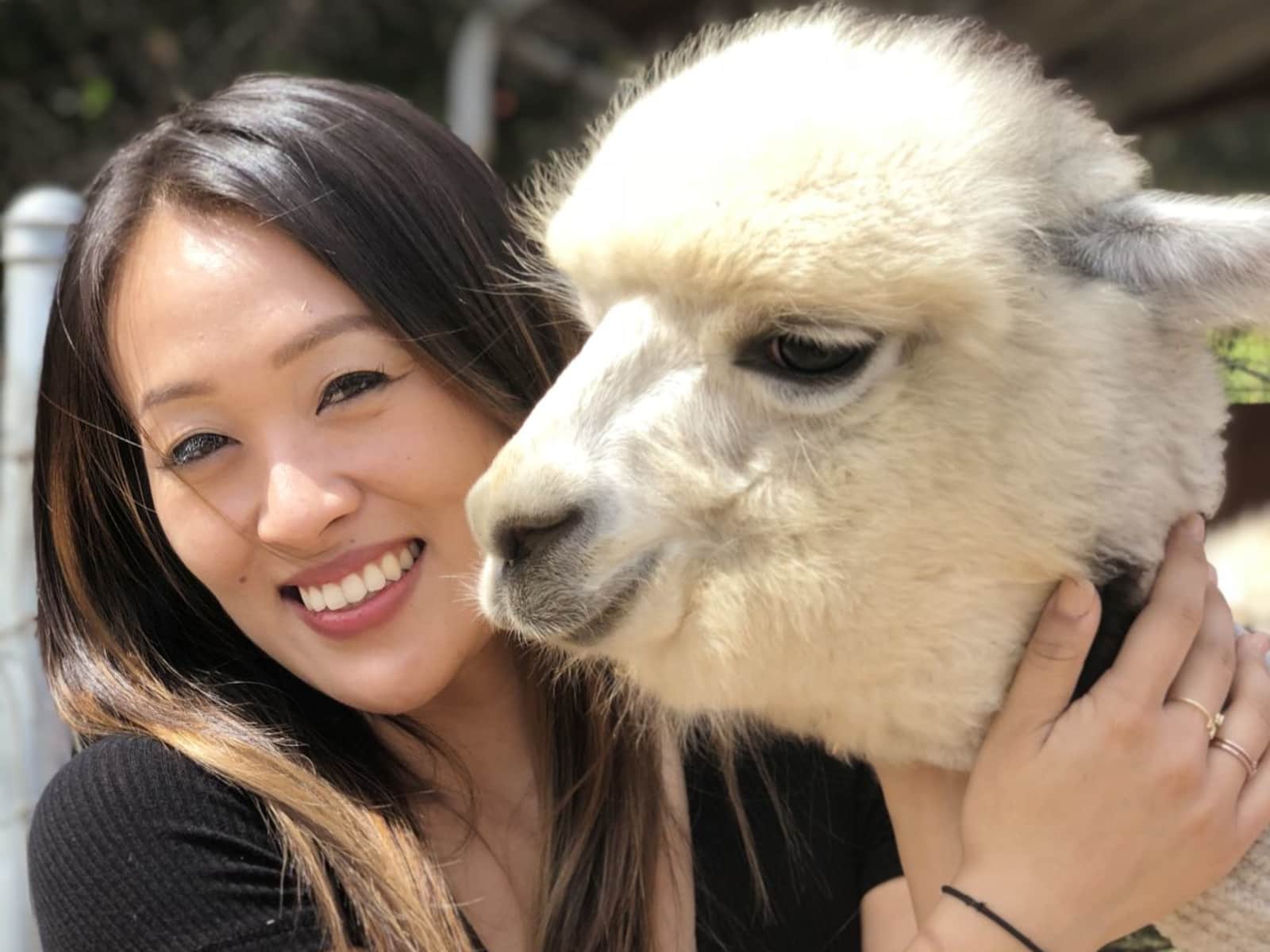 Annie from San Francisco, California, United States
