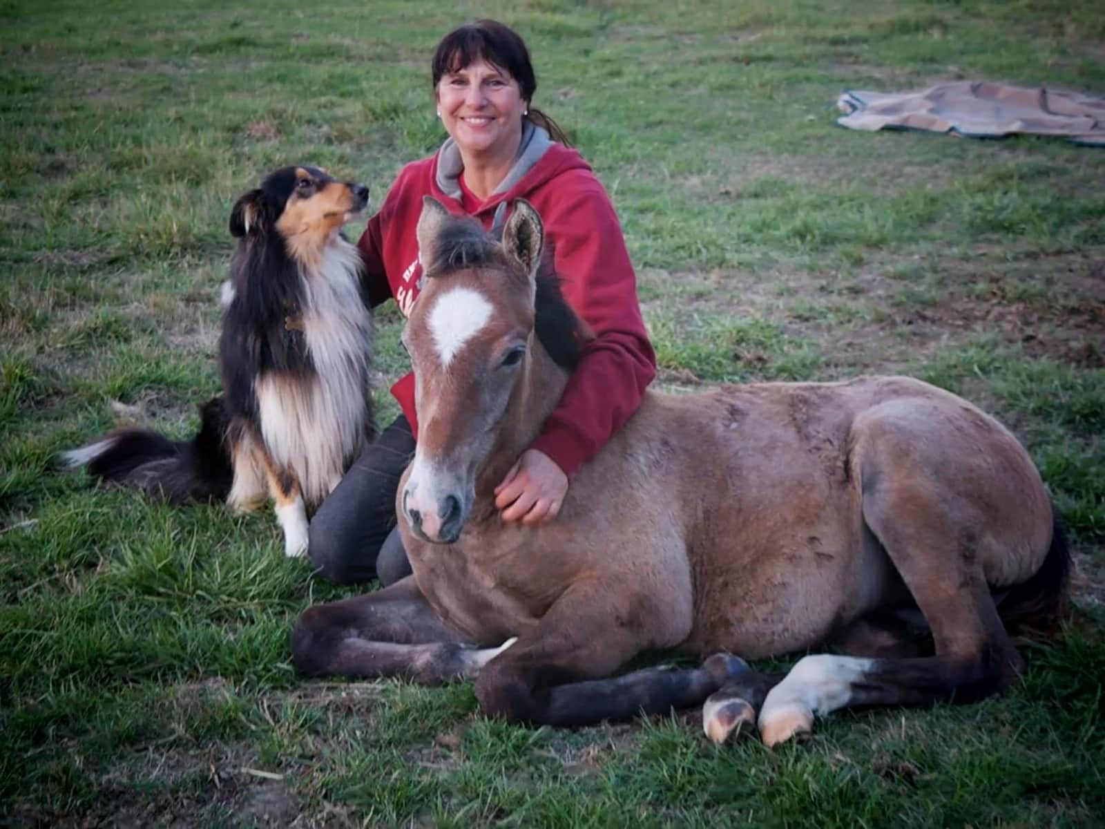 Claudia & Michael from Christchurch, New Zealand