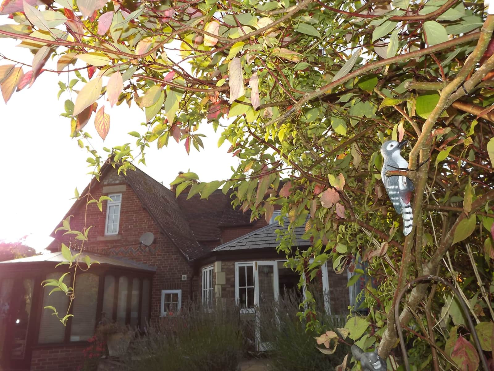 Housesitting assignment in Swindon, United Kingdom