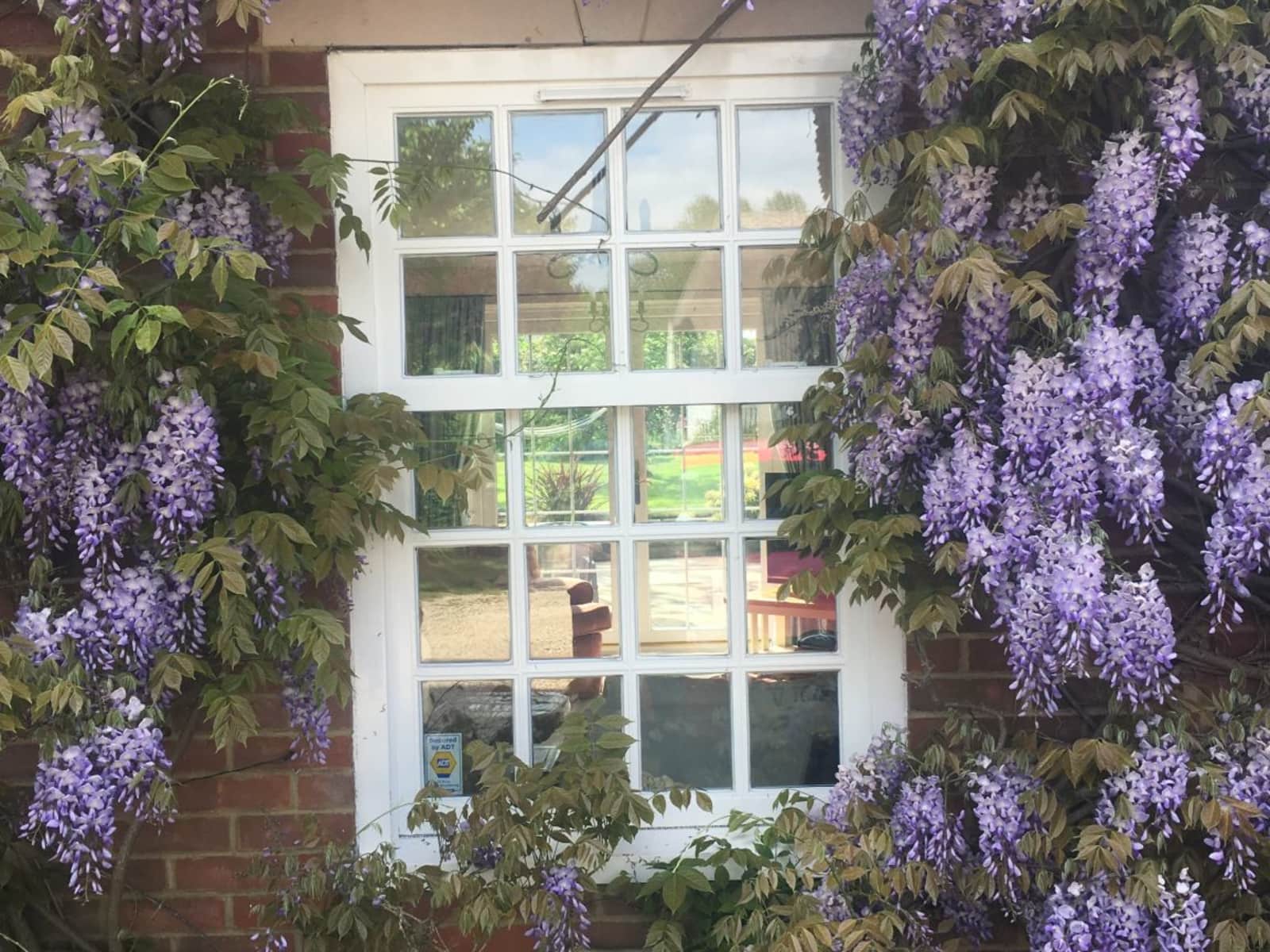 Housesitting assignment in Witney, United Kingdom