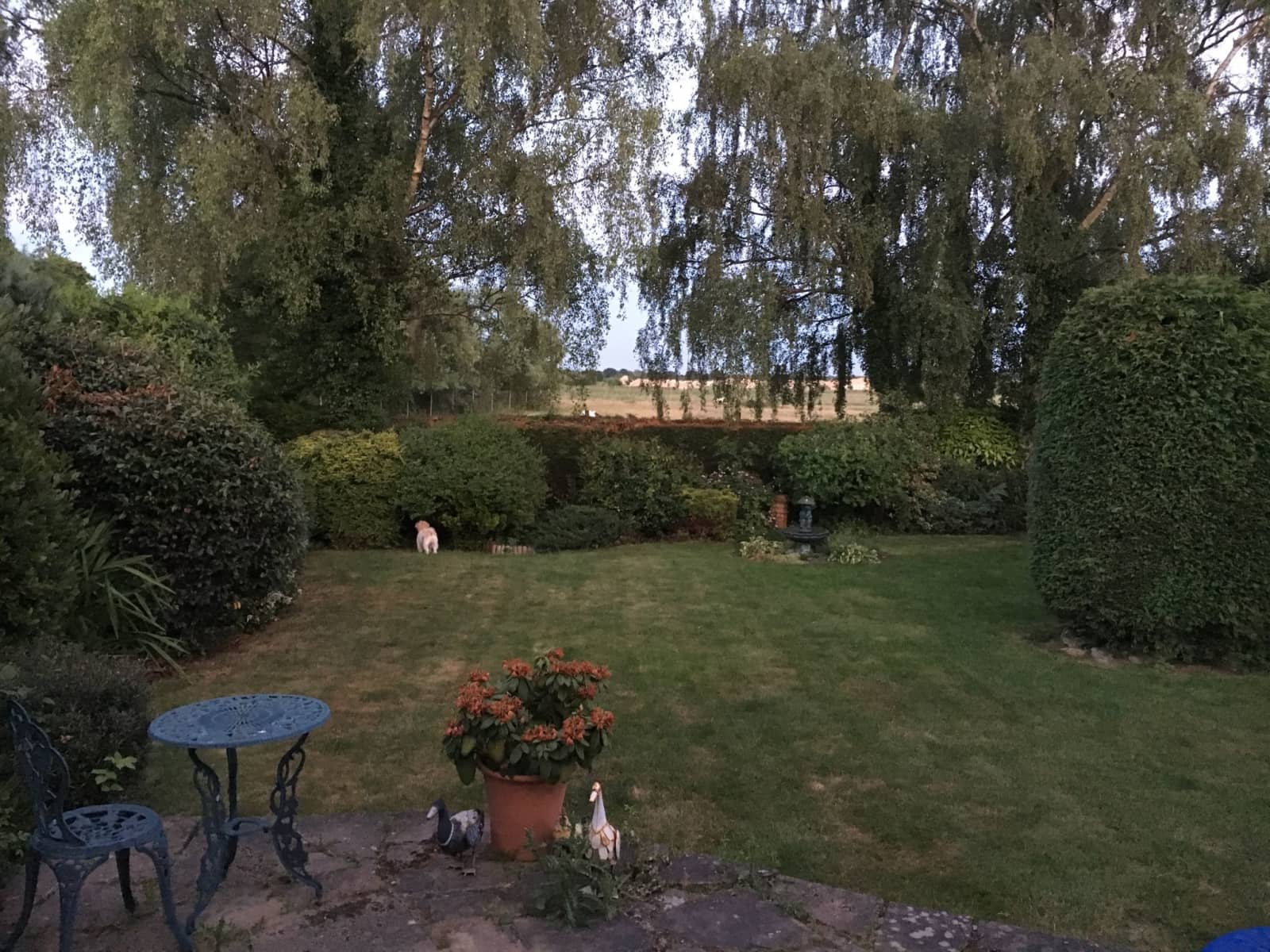 Housesitting assignment in Doncaster, United Kingdom