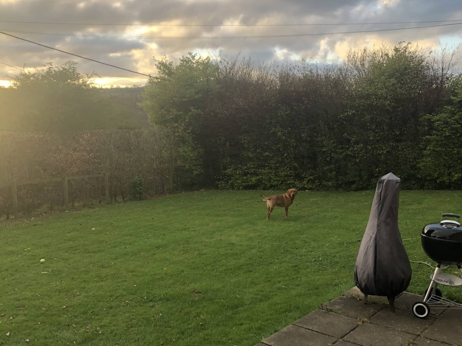 Housesitting assignment in Bruton, United Kingdom