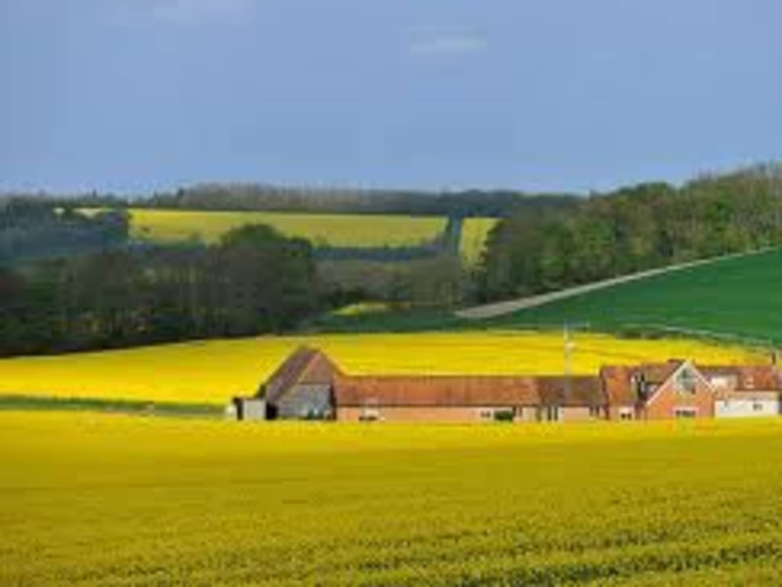 Housesitting assignment in Newbury, United Kingdom