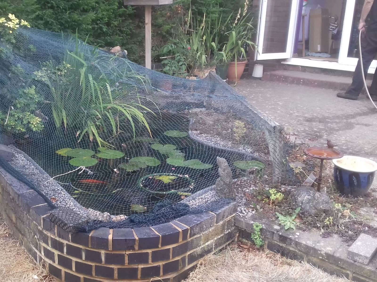 Housesitting assignment in Bromham, United Kingdom