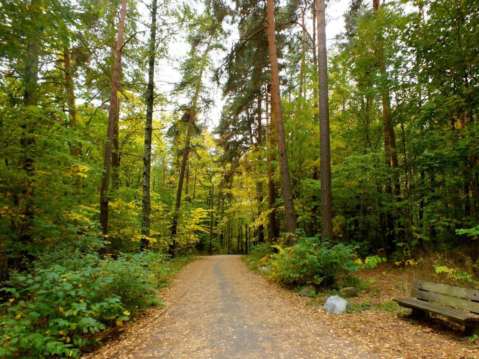 Housesitting assignment in Oslo, Norway