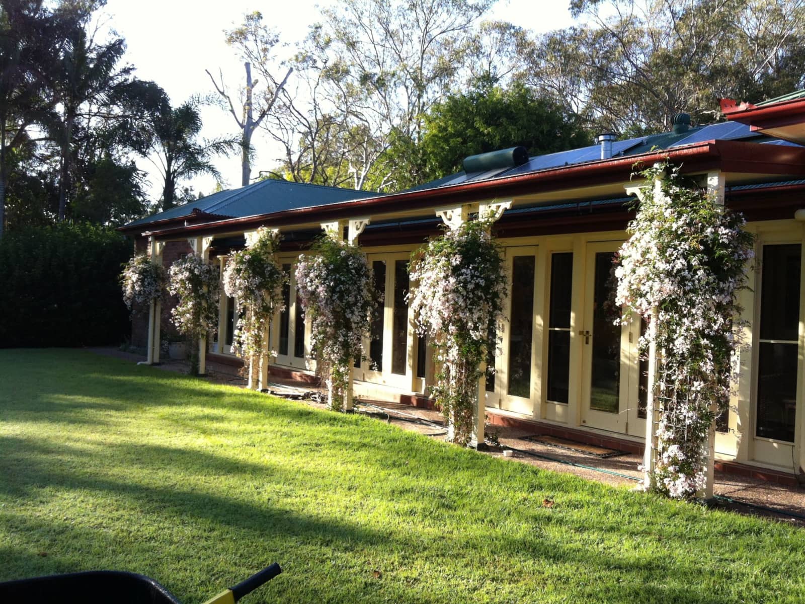 Housesitting assignment in Chandler, Queensland, Australia