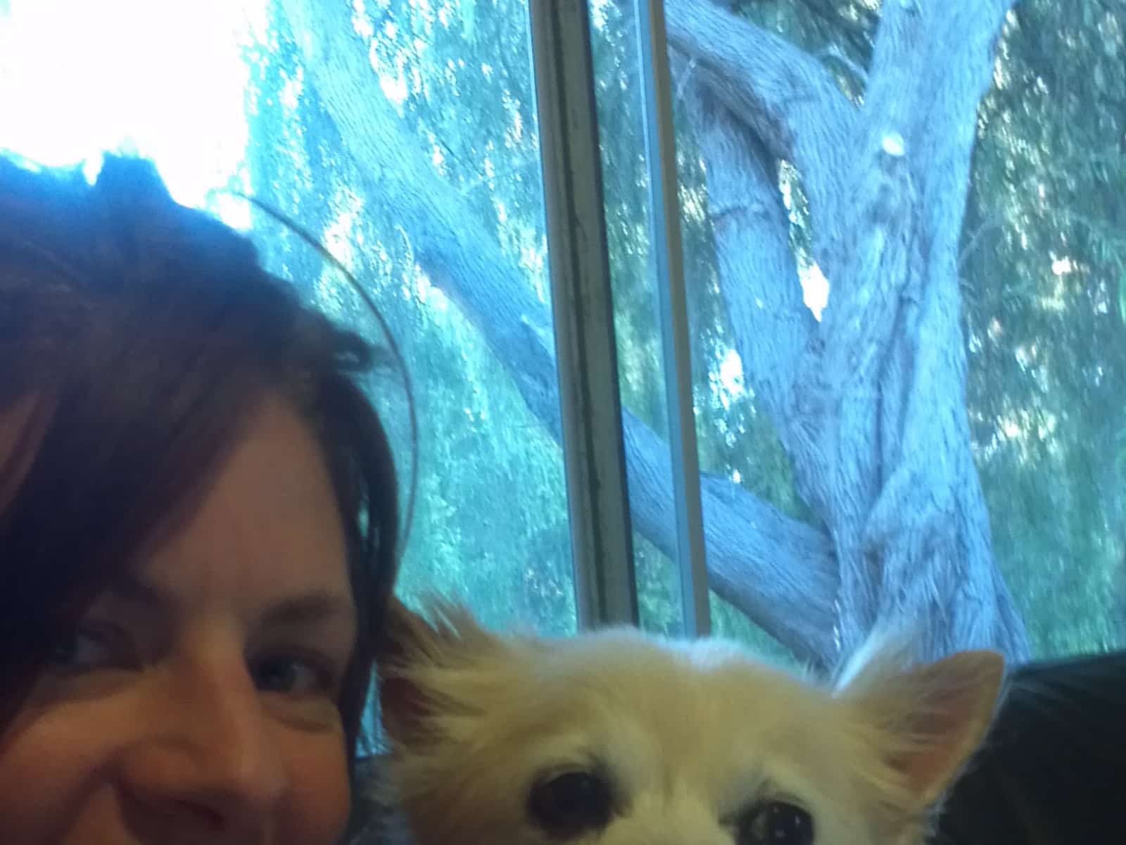 Carla & Simon from Melbourne, Victoria, Australia