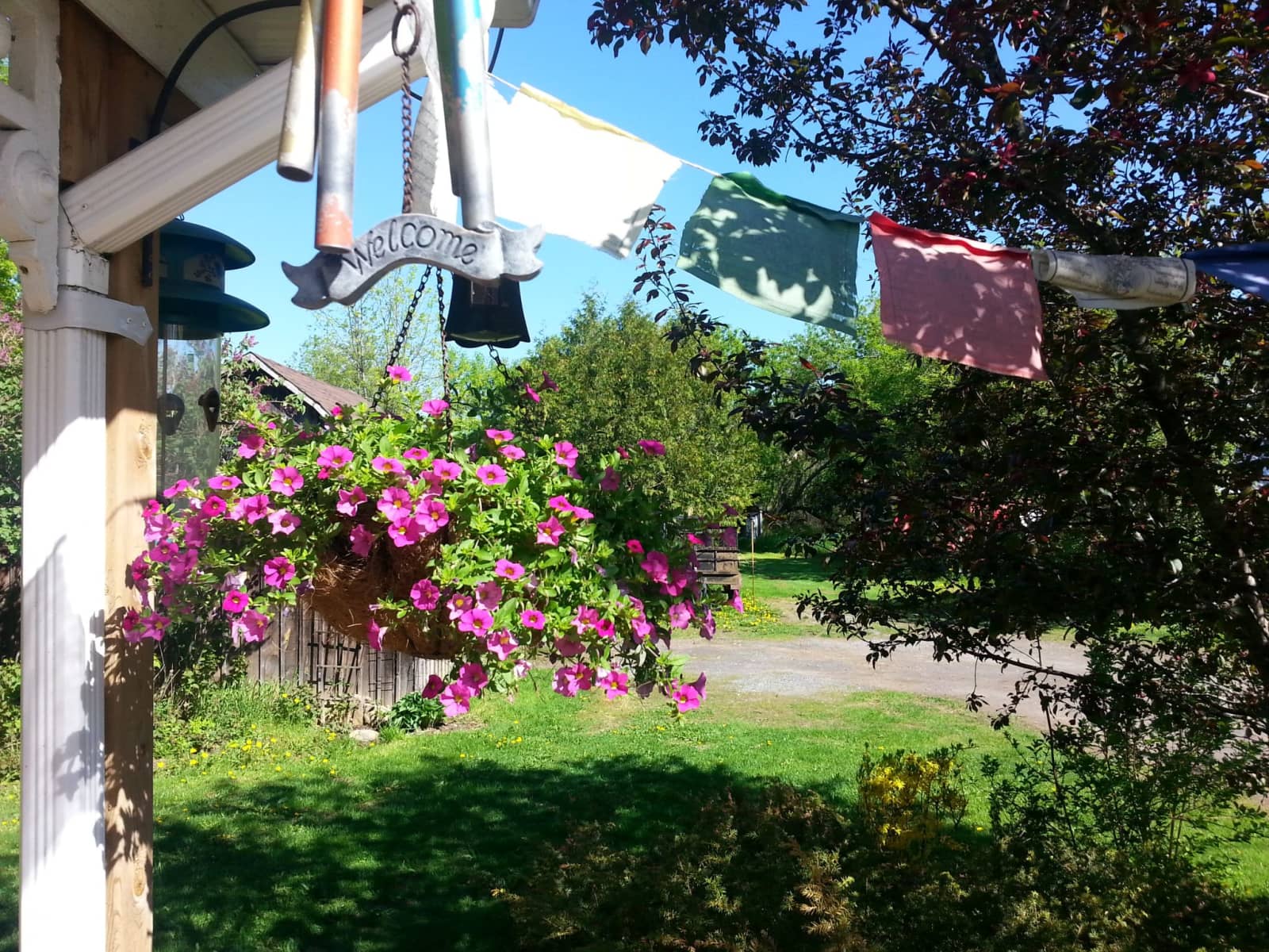 Housesitting assignment in Ottawa, Ontario, Canada
