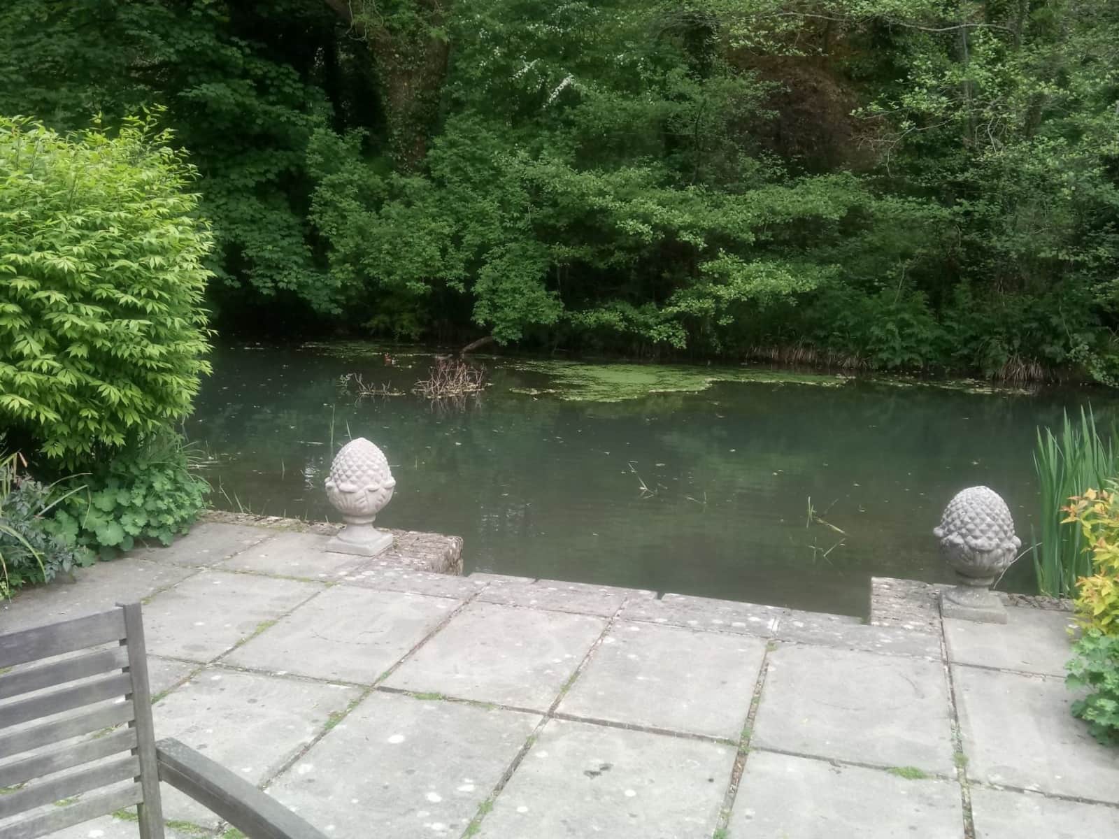 Housesitting assignment in Dursley, United Kingdom