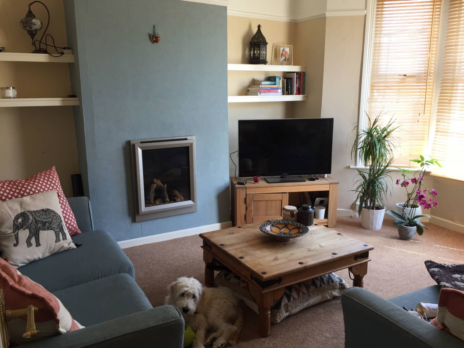 Housesitting assignment in Bristol, United Kingdom