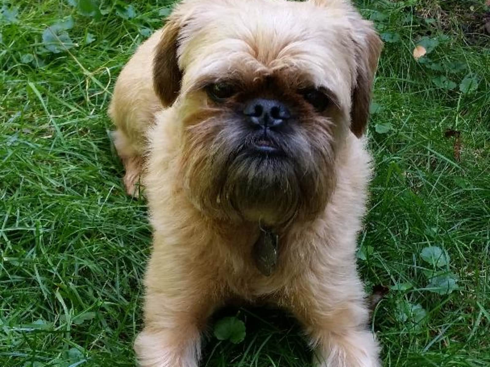 Housesitting assignment in Calgary, Alberta, Canada