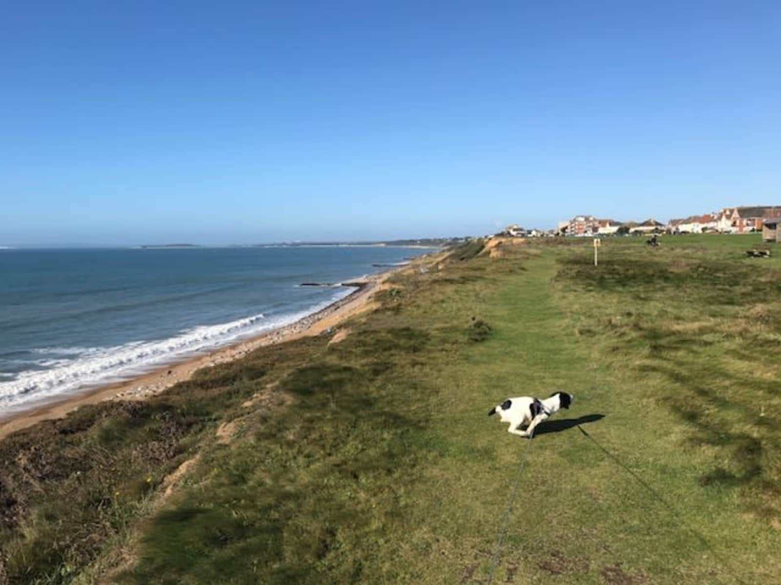 Terry & Carole from Barton on Sea, United Kingdom