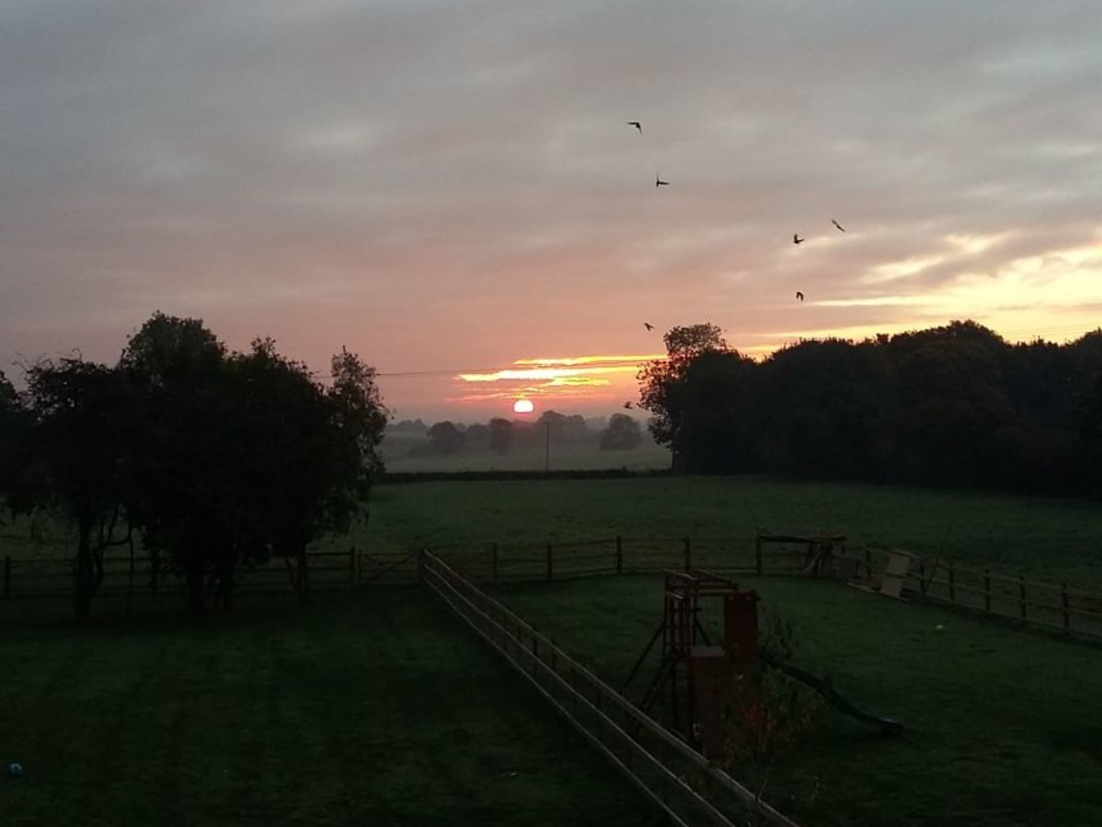 Housesitting assignment in Loddon, United Kingdom