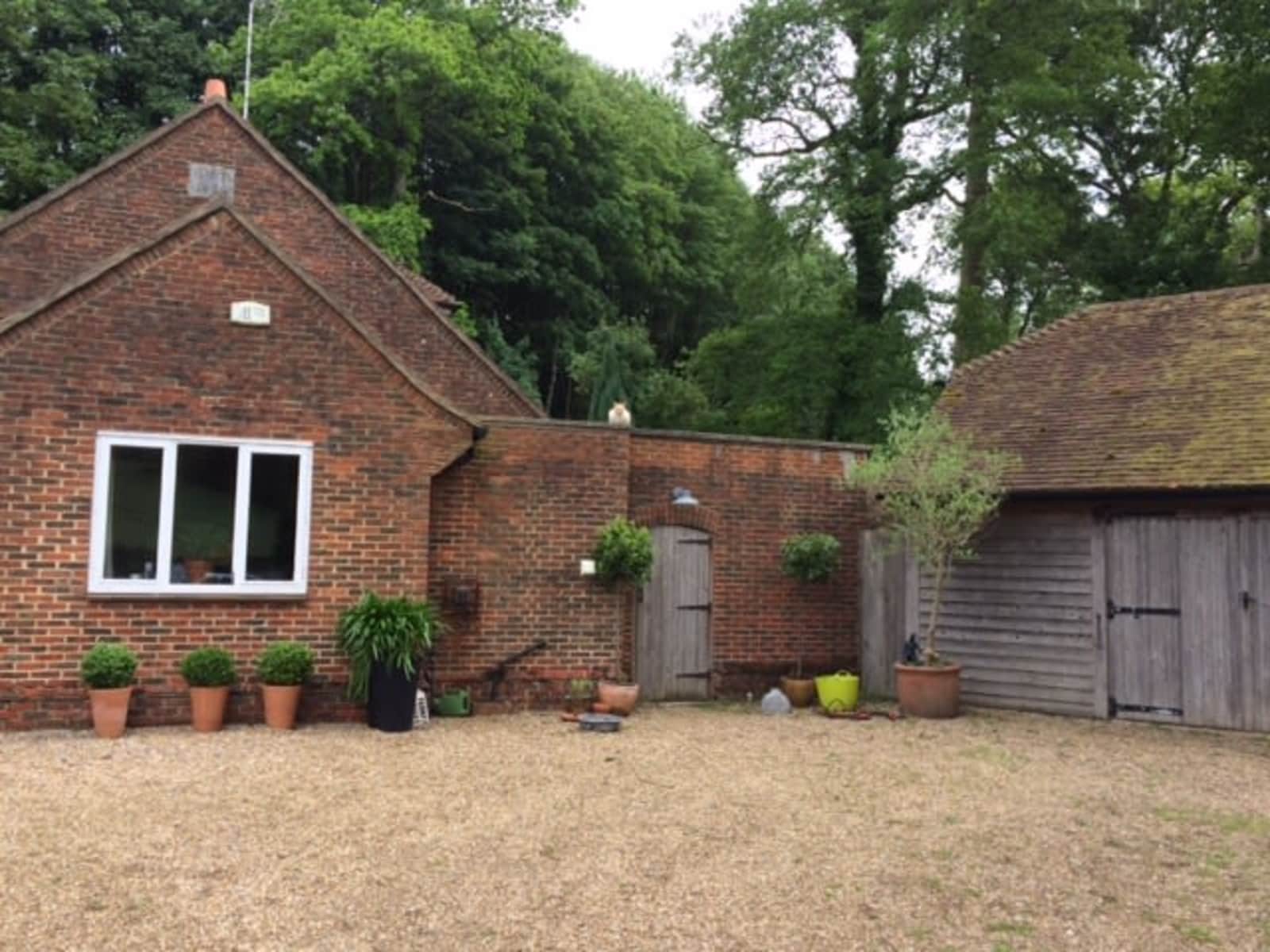 Housesitting assignment in Petersfield, United Kingdom
