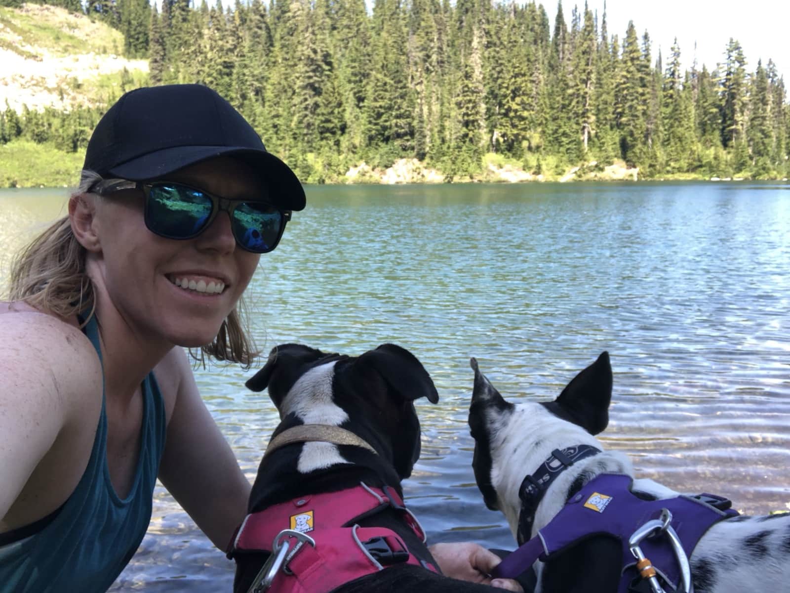 Housesitting assignment in Seattle, Washington, United States