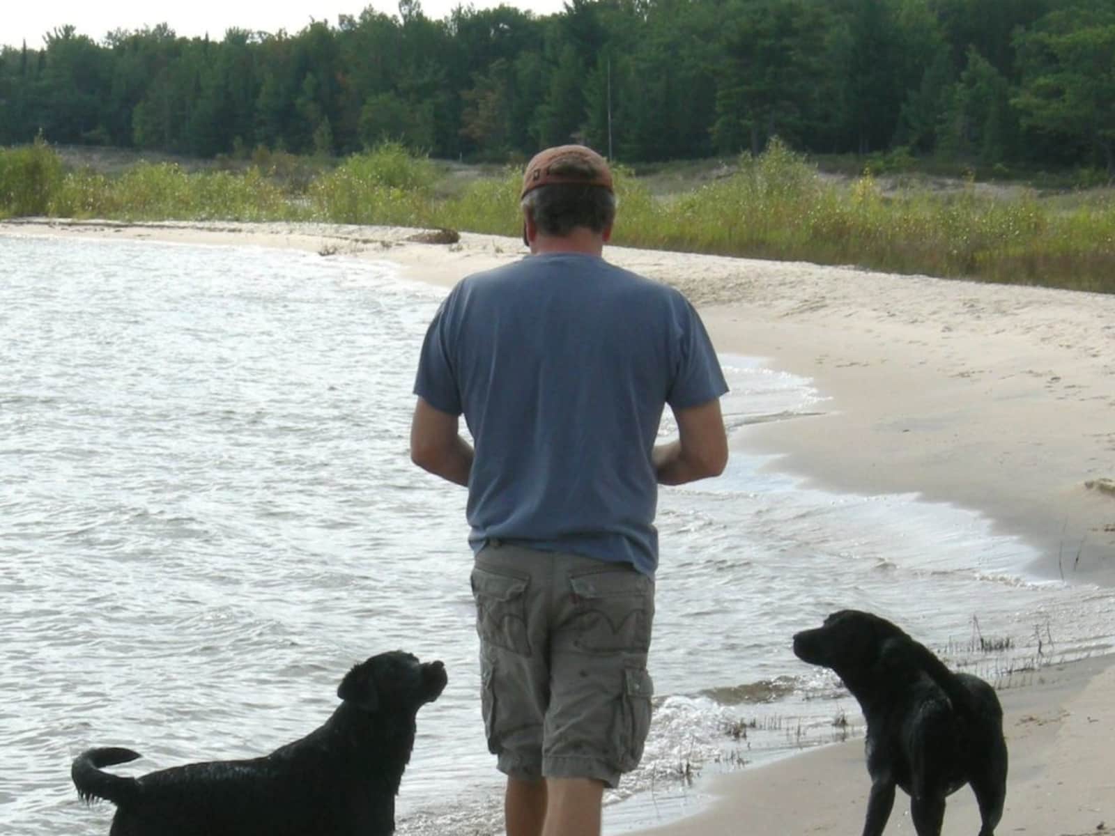 Erin & Jeff from Ann Arbor, Michigan, United States