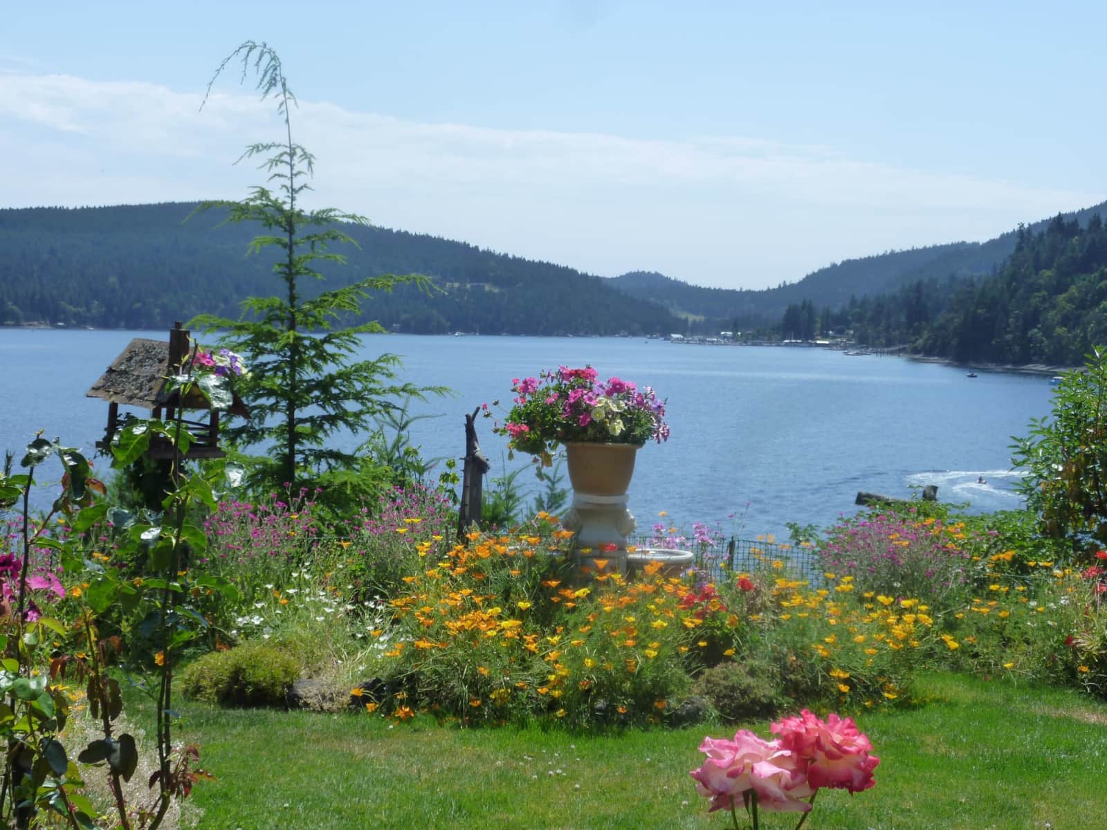 Housesitting assignment in Maple Bay, British Columbia, Canada