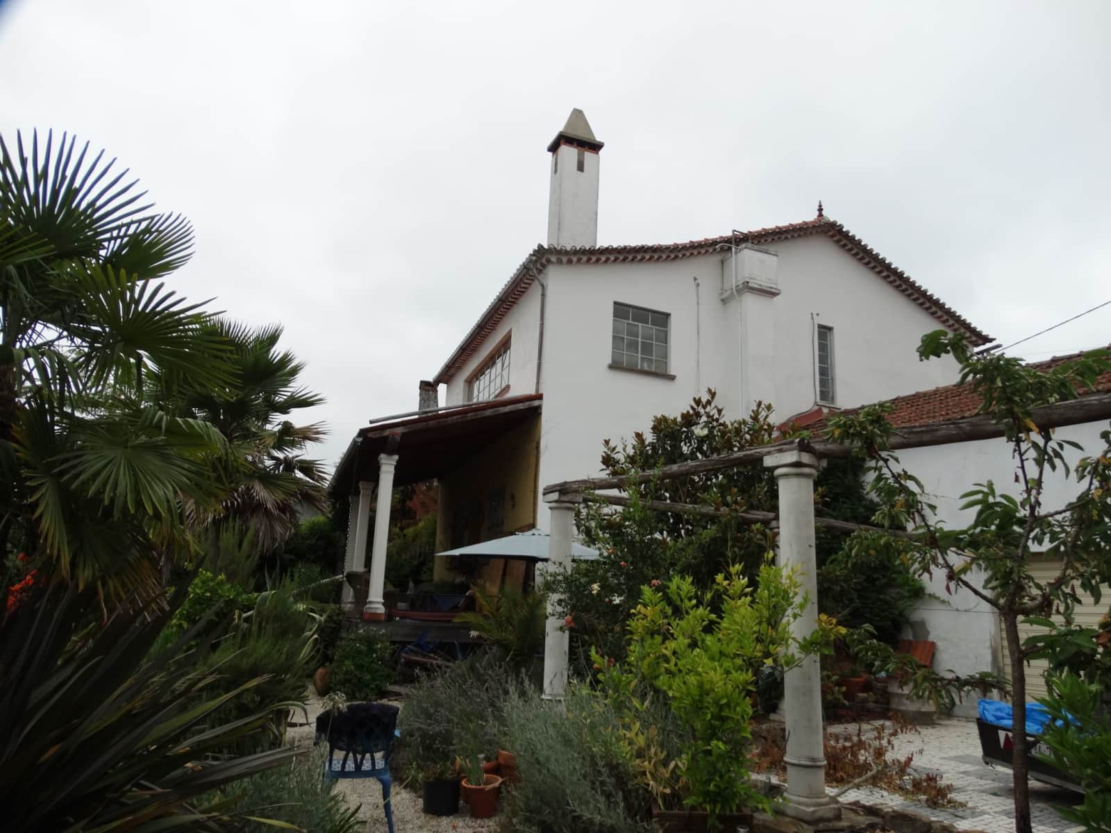 Housesitting assignment in Marmeleira, Portugal