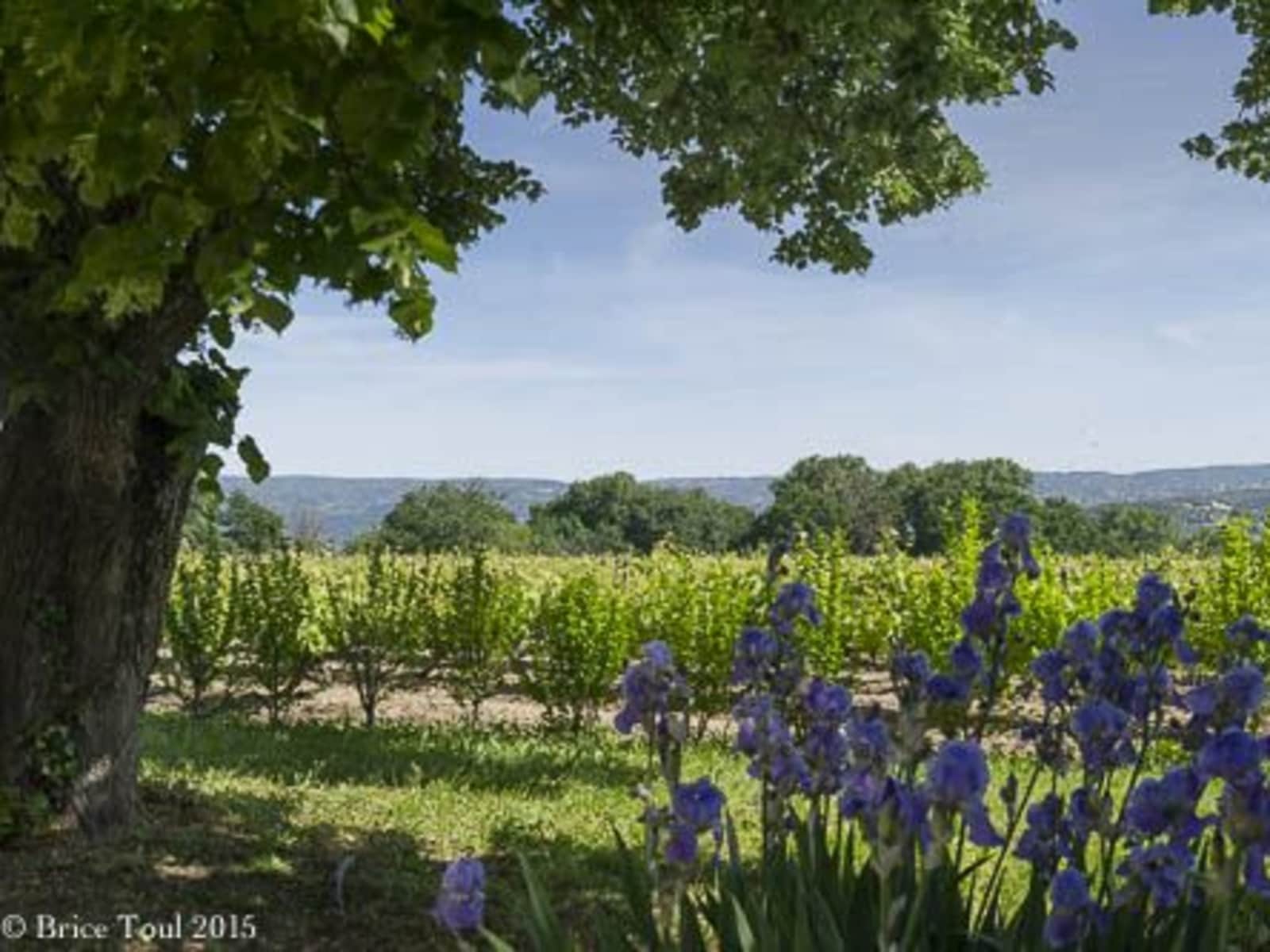 Housesitting assignment in Oppède, France