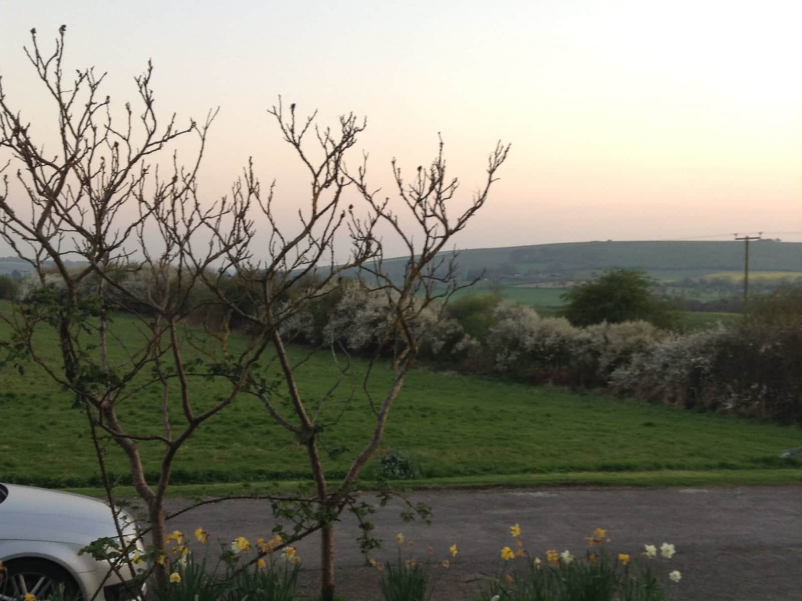 Housesitting assignment in Marlborough, United Kingdom