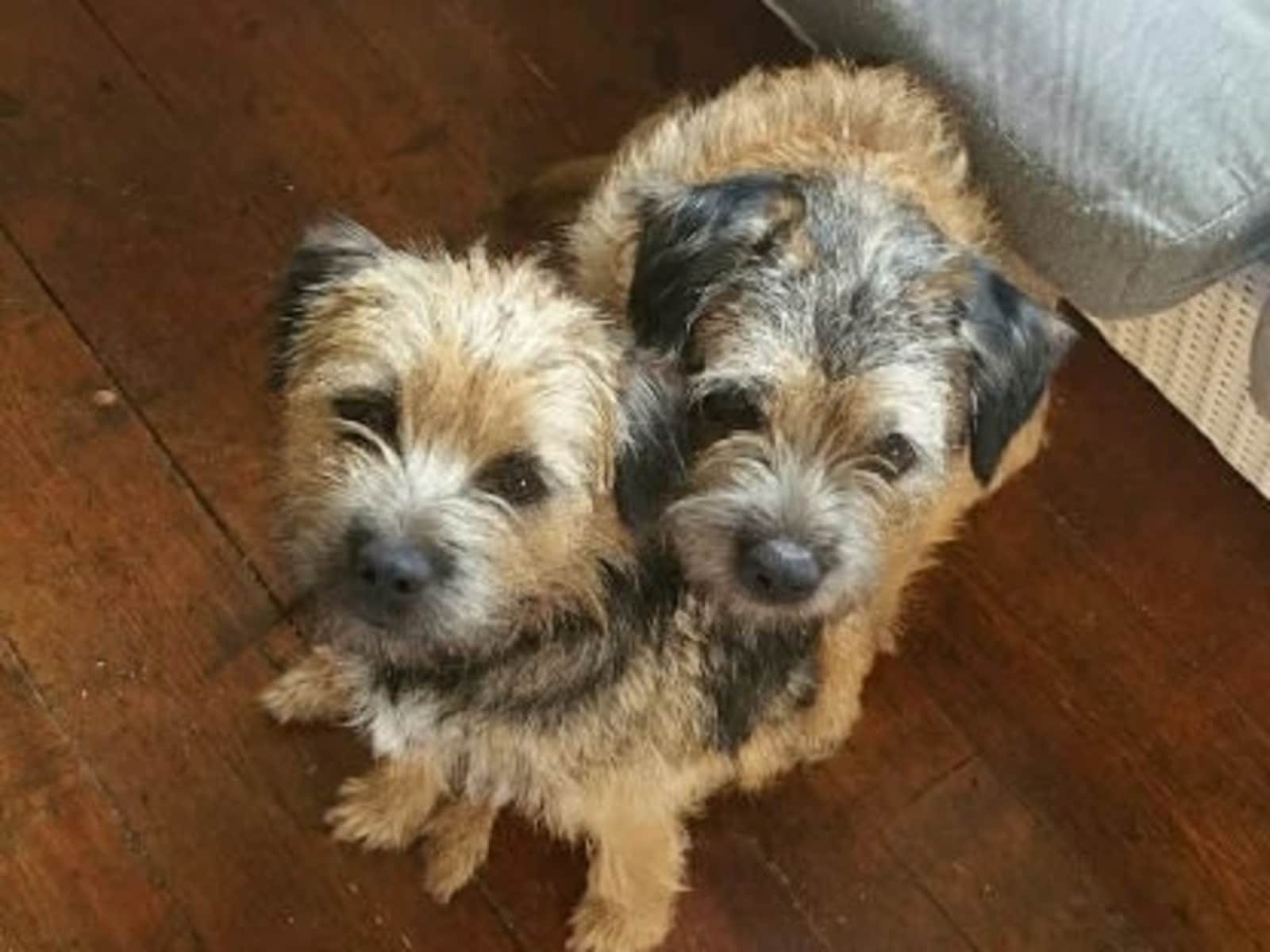 Housesitting assignment in Inverness, United Kingdom