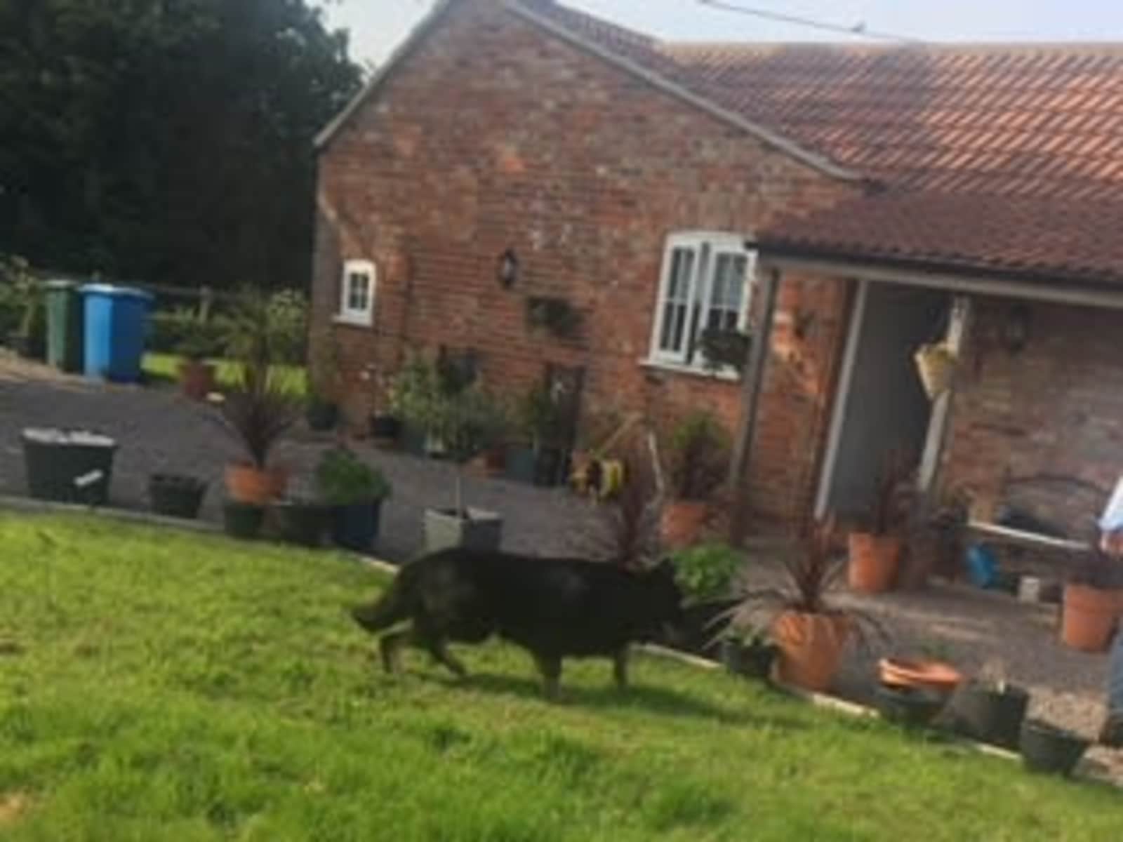 Housesitting assignment in Benington, United Kingdom