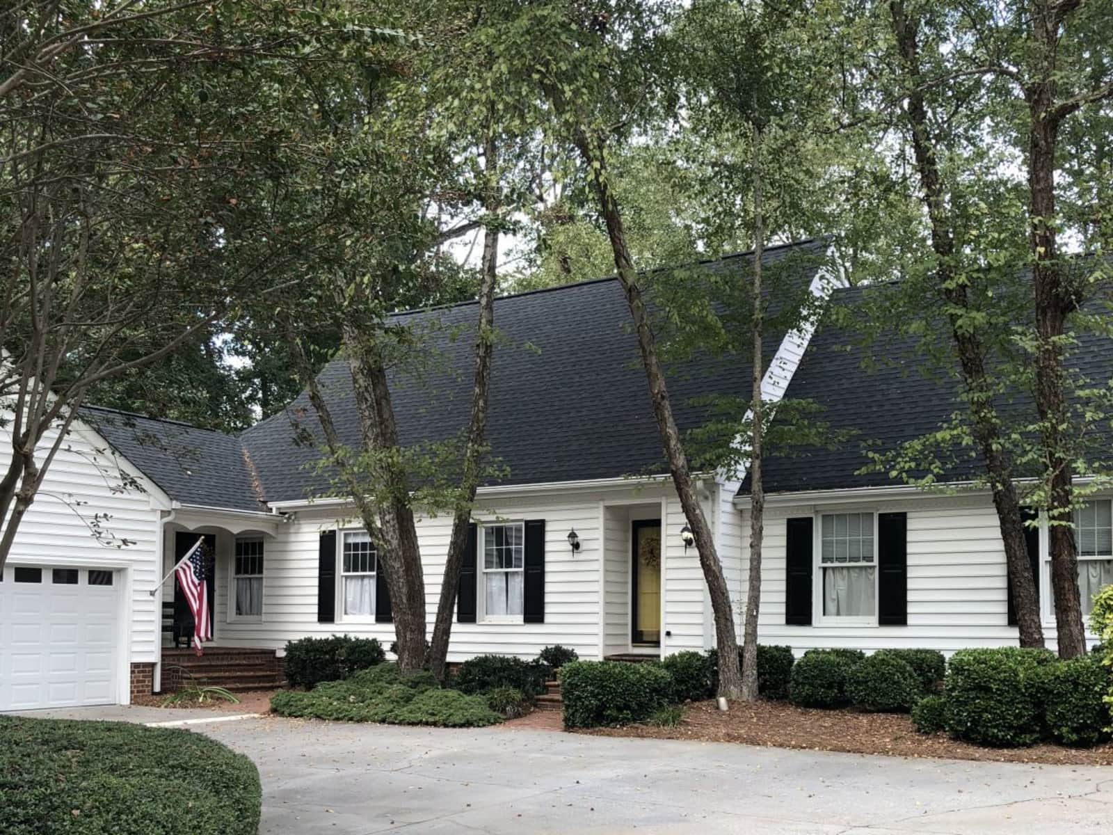Housesitting assignment in Charlotte, North Carolina, United States