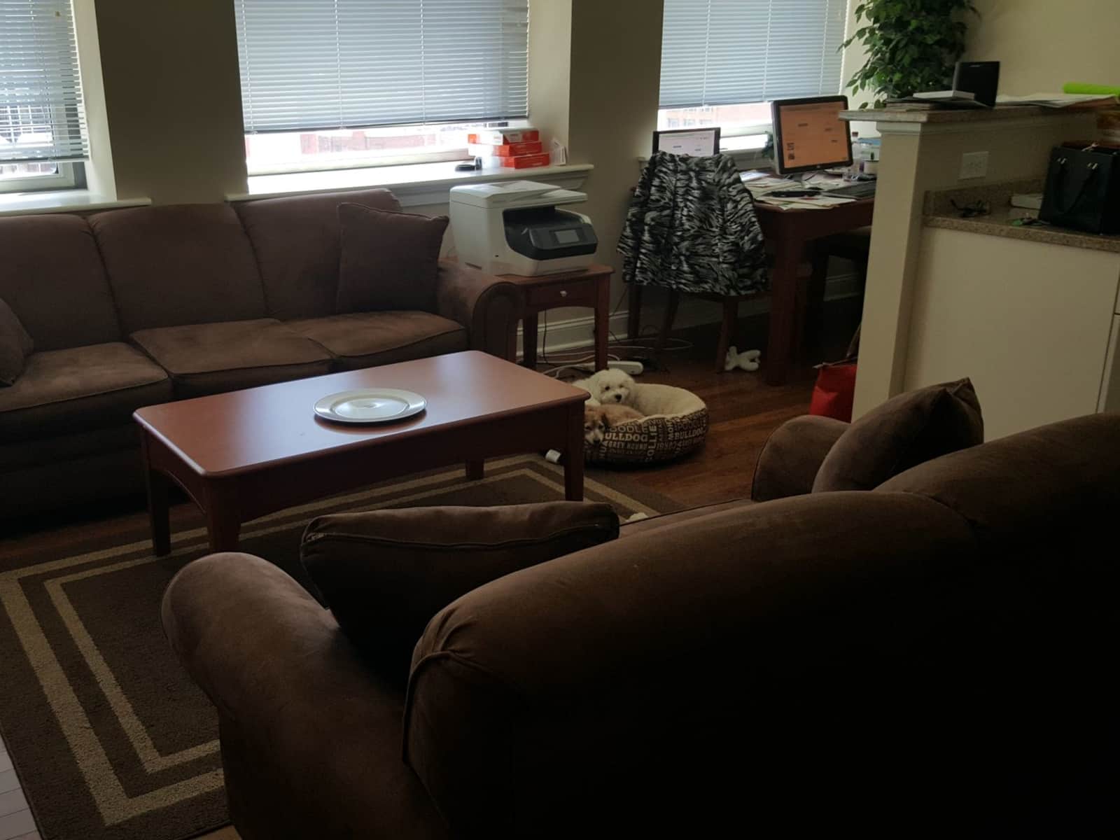Housesitting assignment in Pittsburgh, Pennsylvania, United States