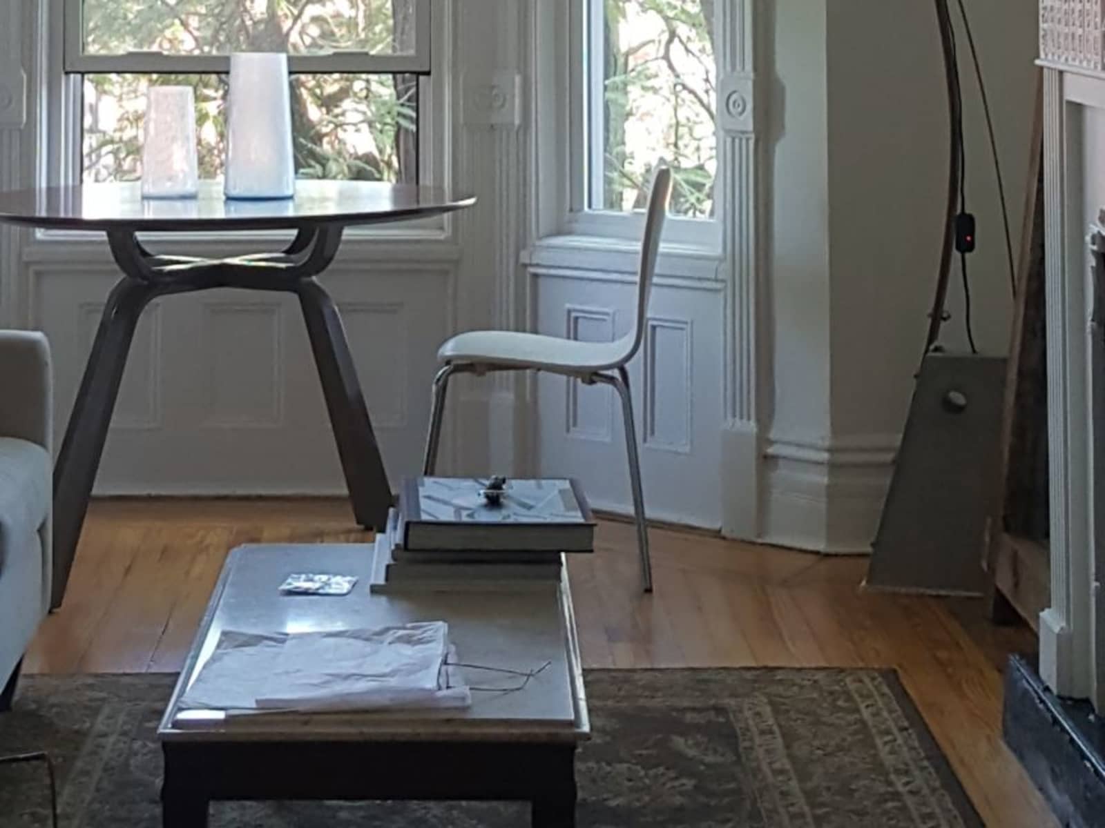 Housesitting assignment in Brooklyn, New York, United States