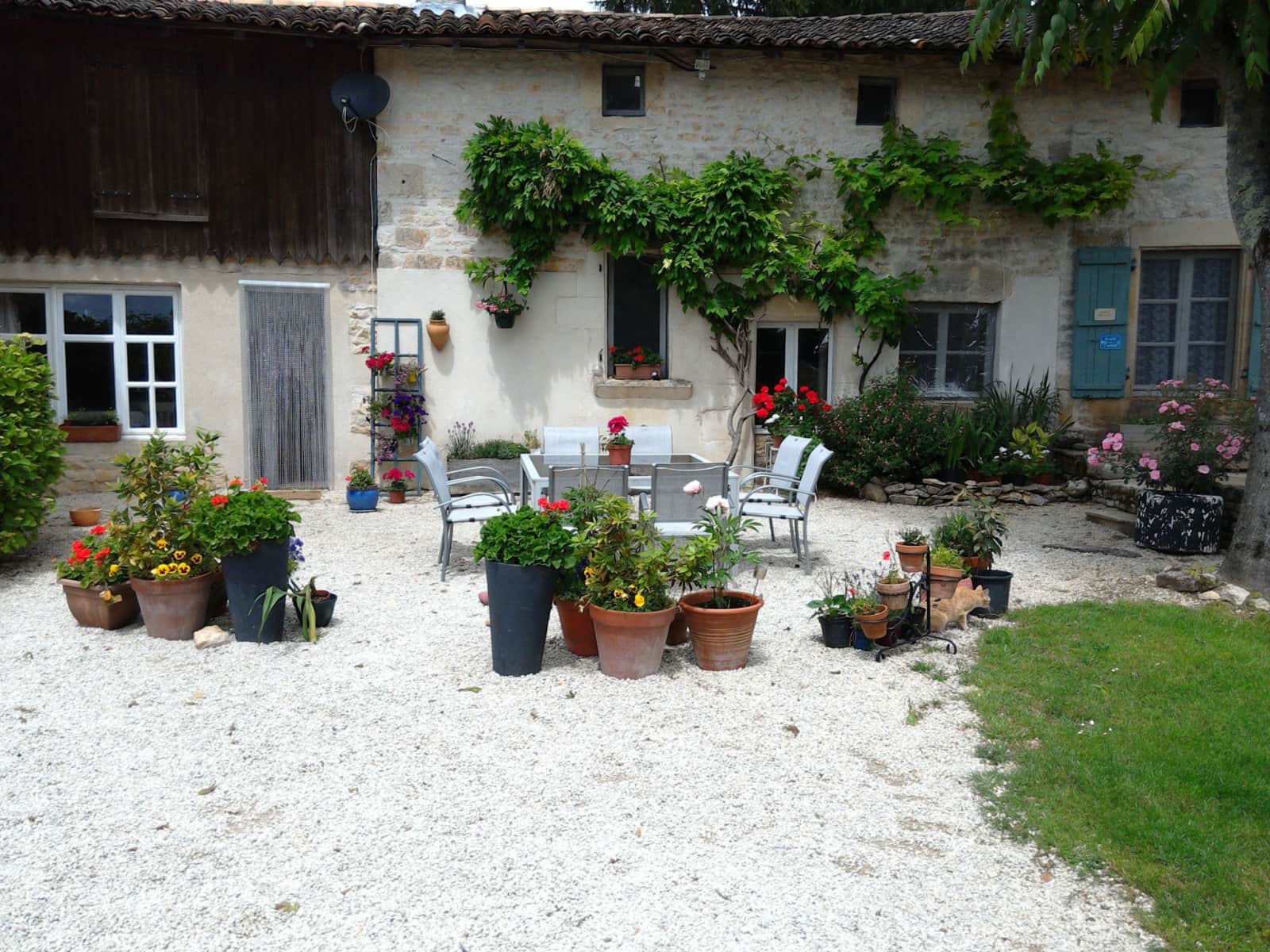 Housesitting assignment in Ruffec, France