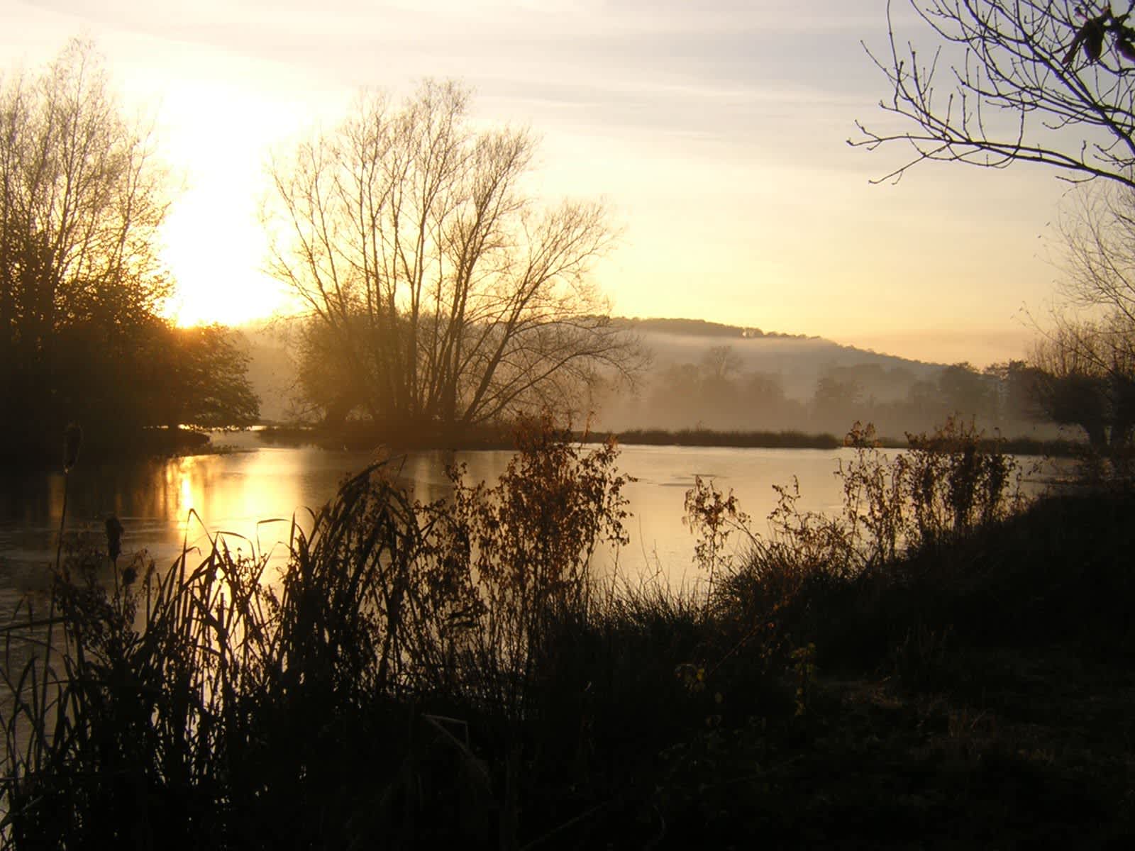 Housesitting assignment in Hereford, United Kingdom