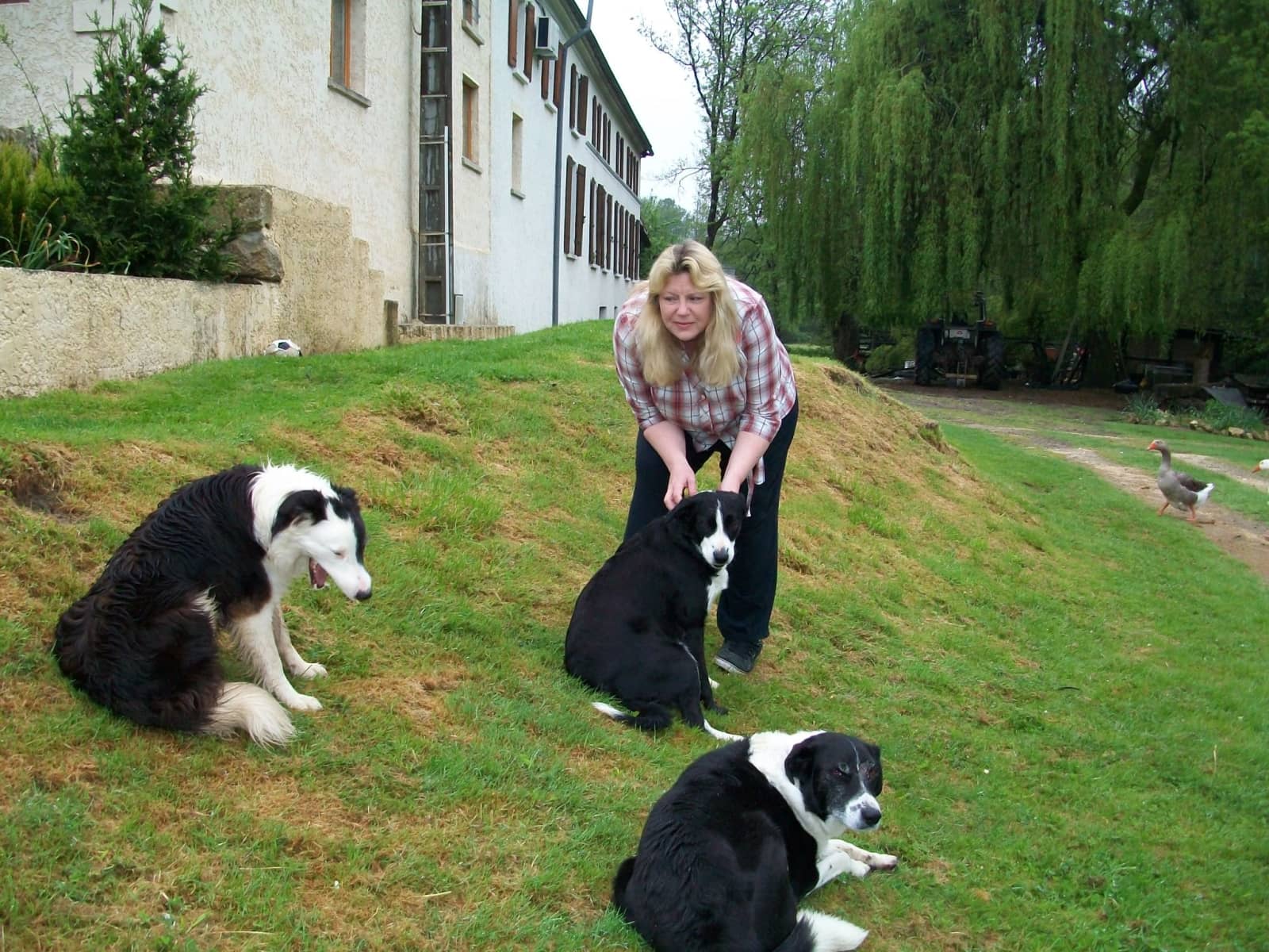 Carole & Frank from Mirambeau, France