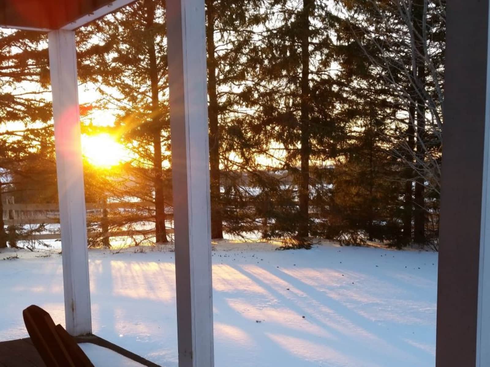 Housesitting assignment in Chesley, Ontario, Canada