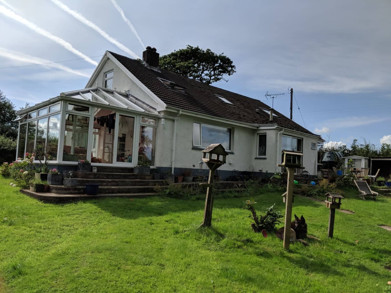 Housesitting assignment in Haverfordwest, United Kingdom