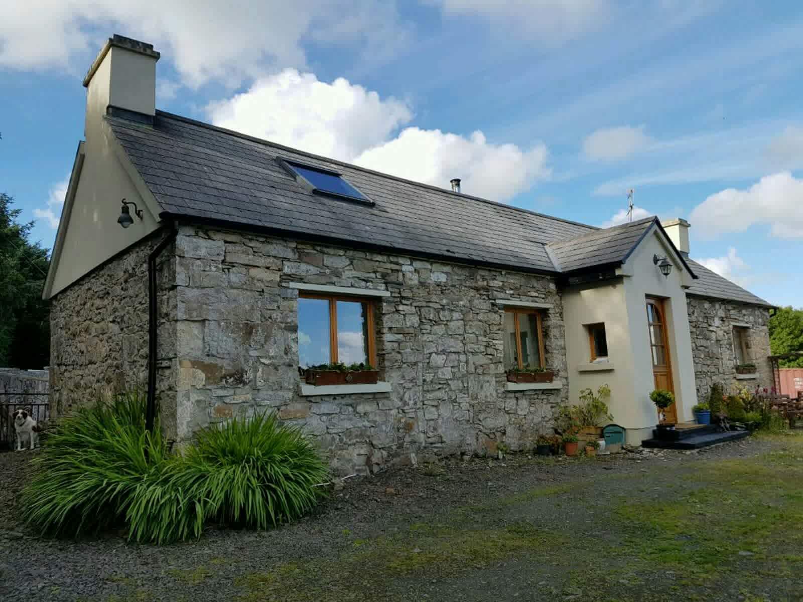 Housesitting assignment in Kilrush, Ireland