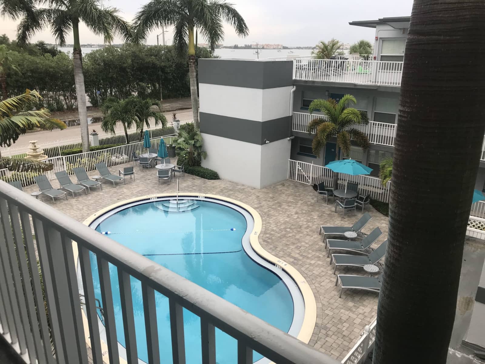 Housesitting assignment in Gulfport, Florida, United States
