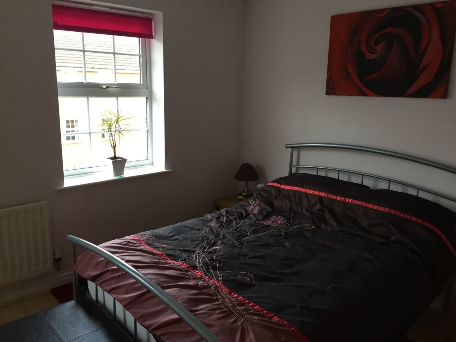 Housesitting assignment in Arlesey, United Kingdom