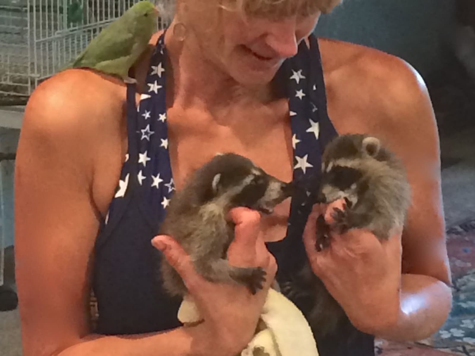 Kristin from Columbus, Ohio, United States