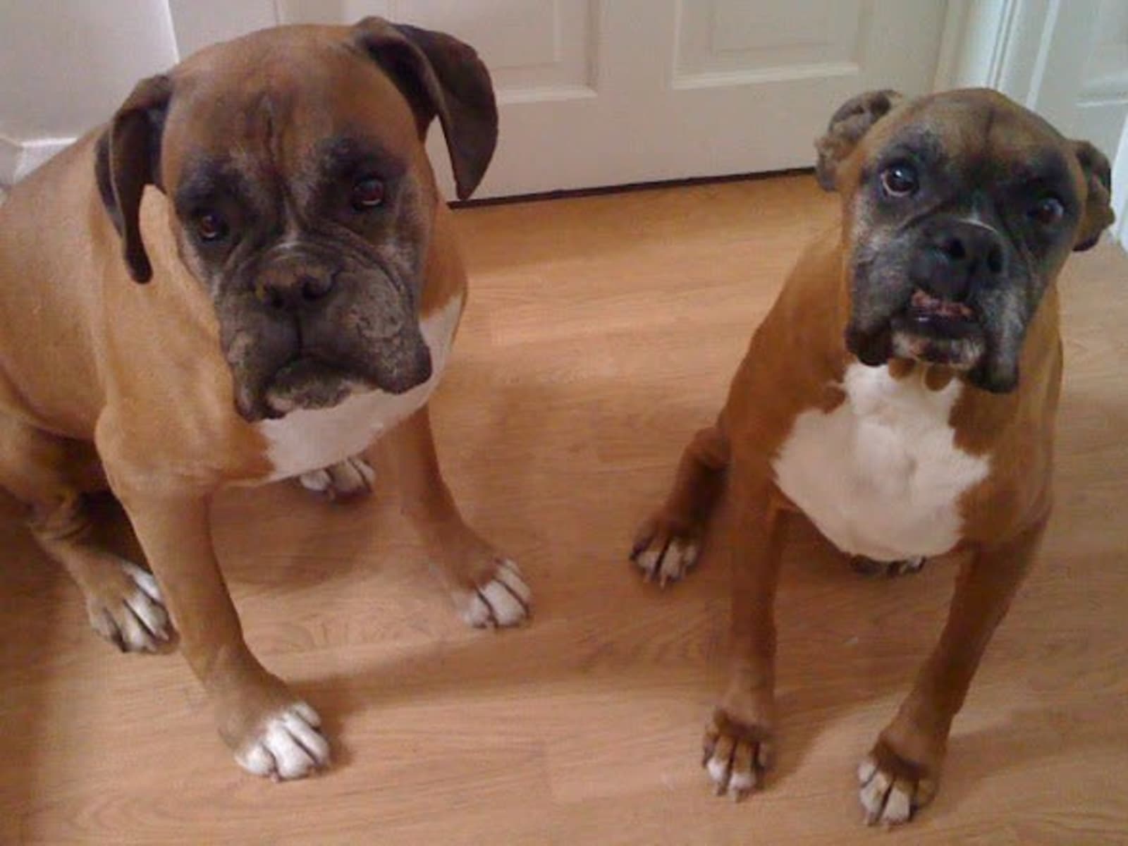 Spencer & Avril from Burnham-on-Sea, United Kingdom