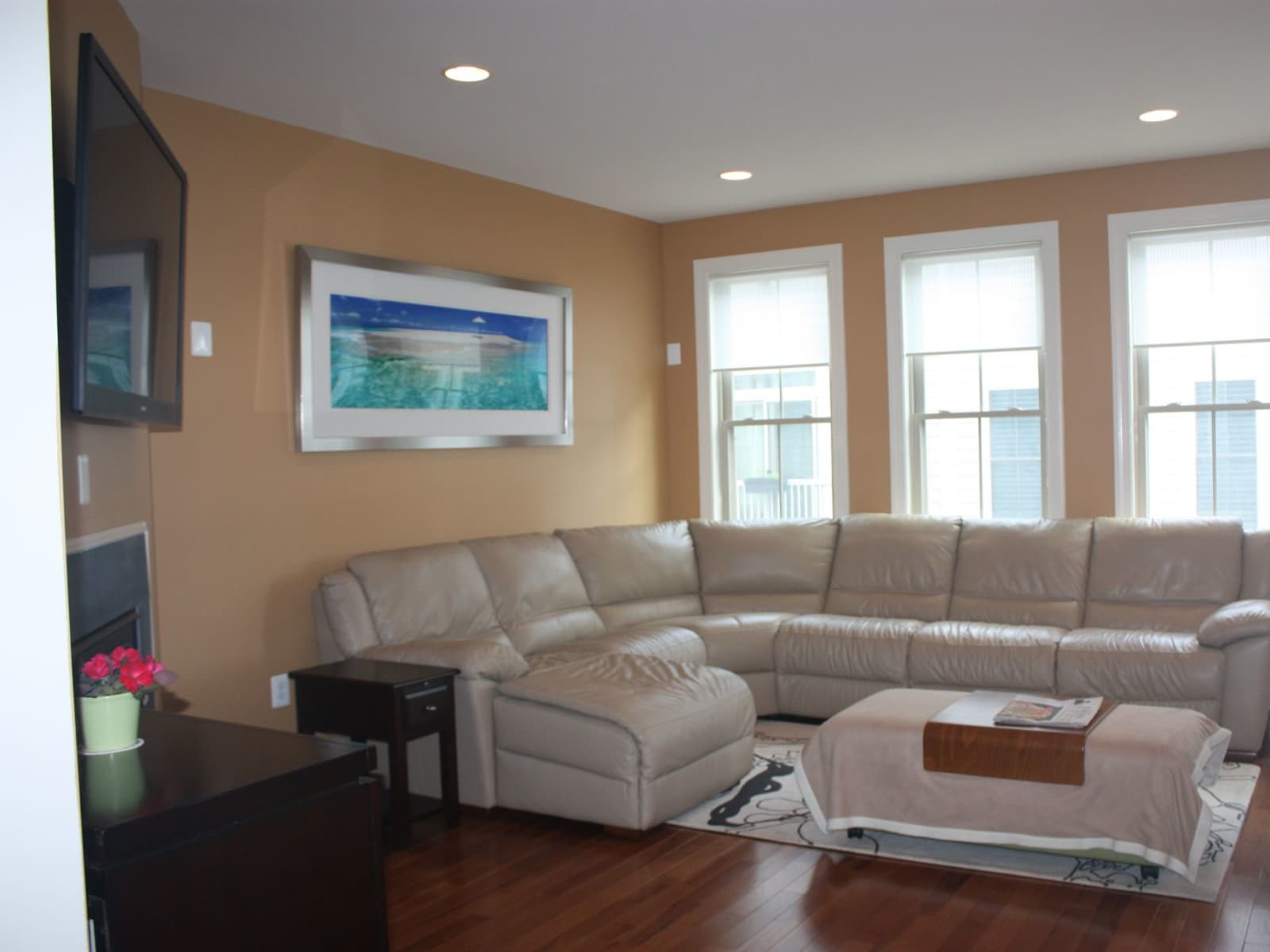 Housesitting assignment in Arlington, Virginia, United States