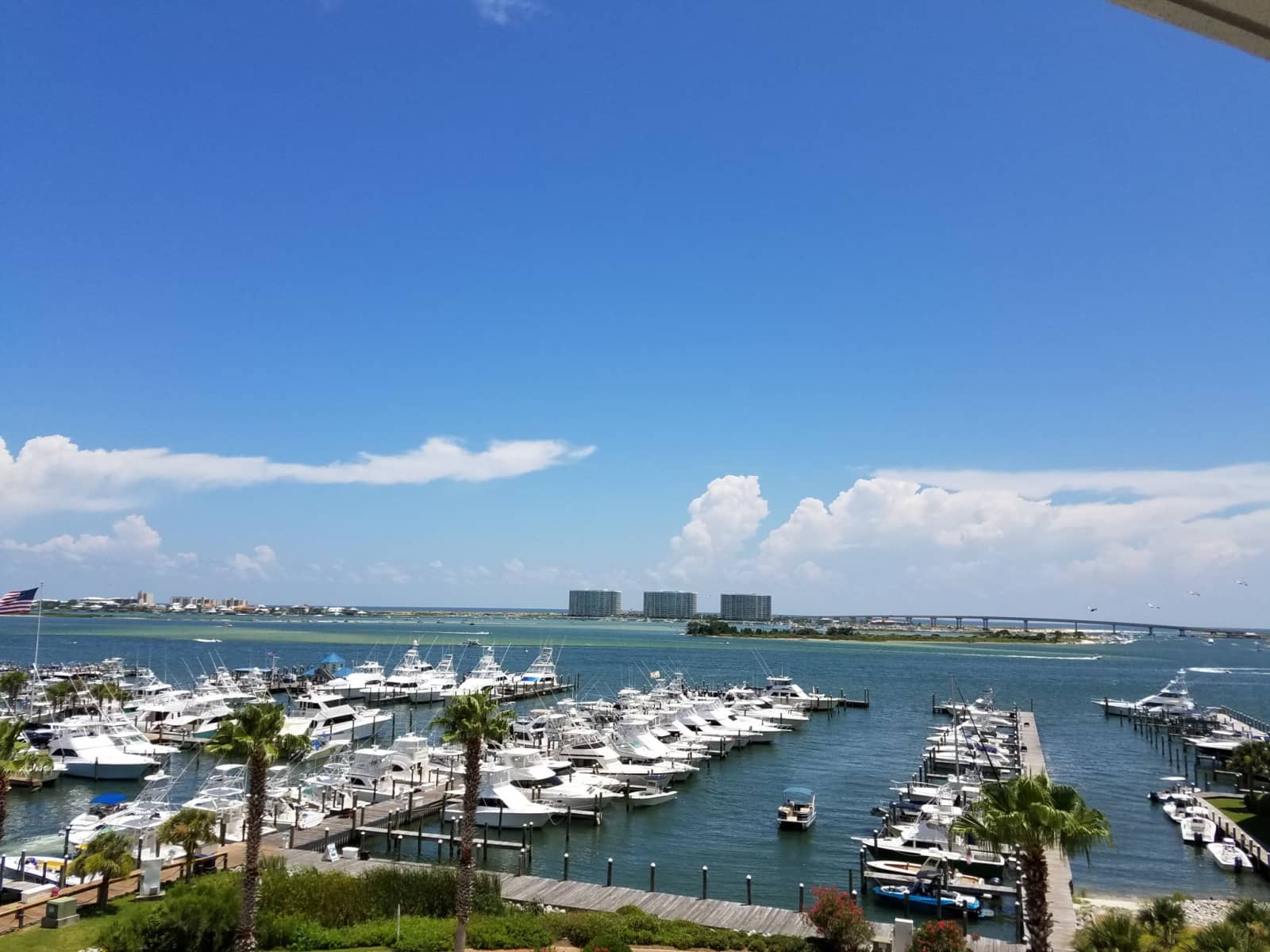 Housesitting assignment in Orange Beach, Alabama, United States