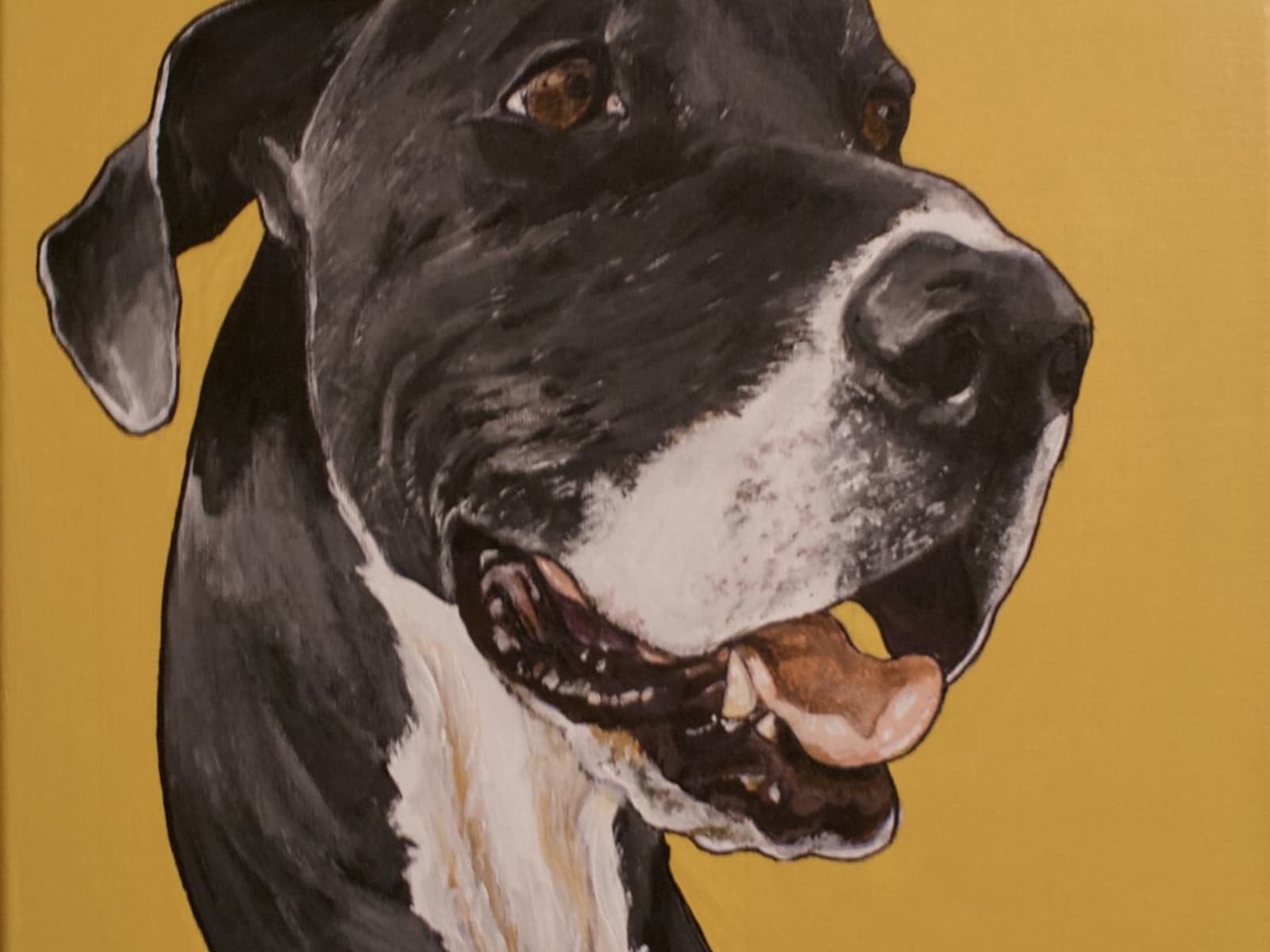 Matt from San Mateo, California, United States